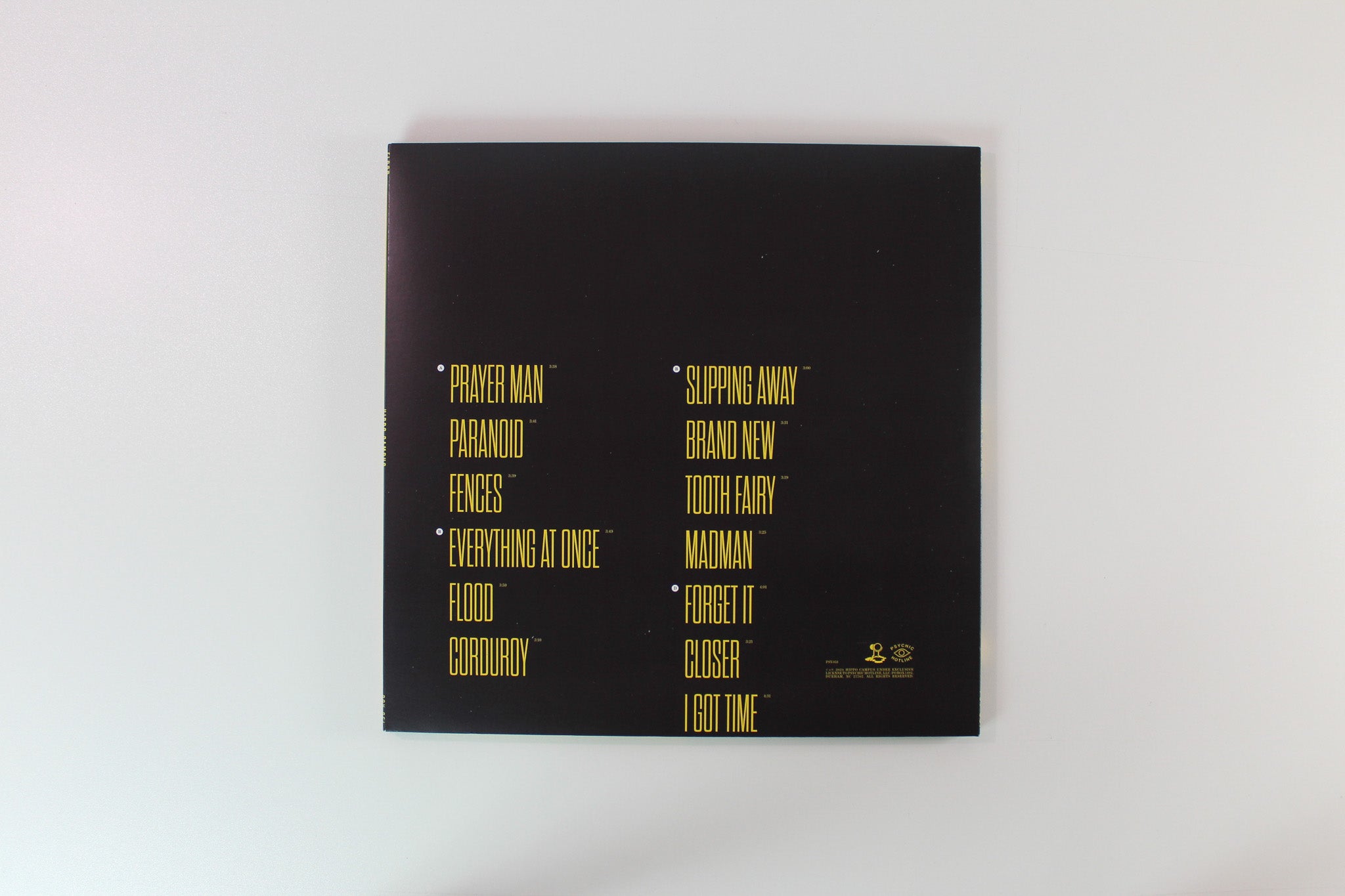 Hippo Campus - Flood on Psychic Hotline Bandcamp Exclusive Azure Dream Vinyl