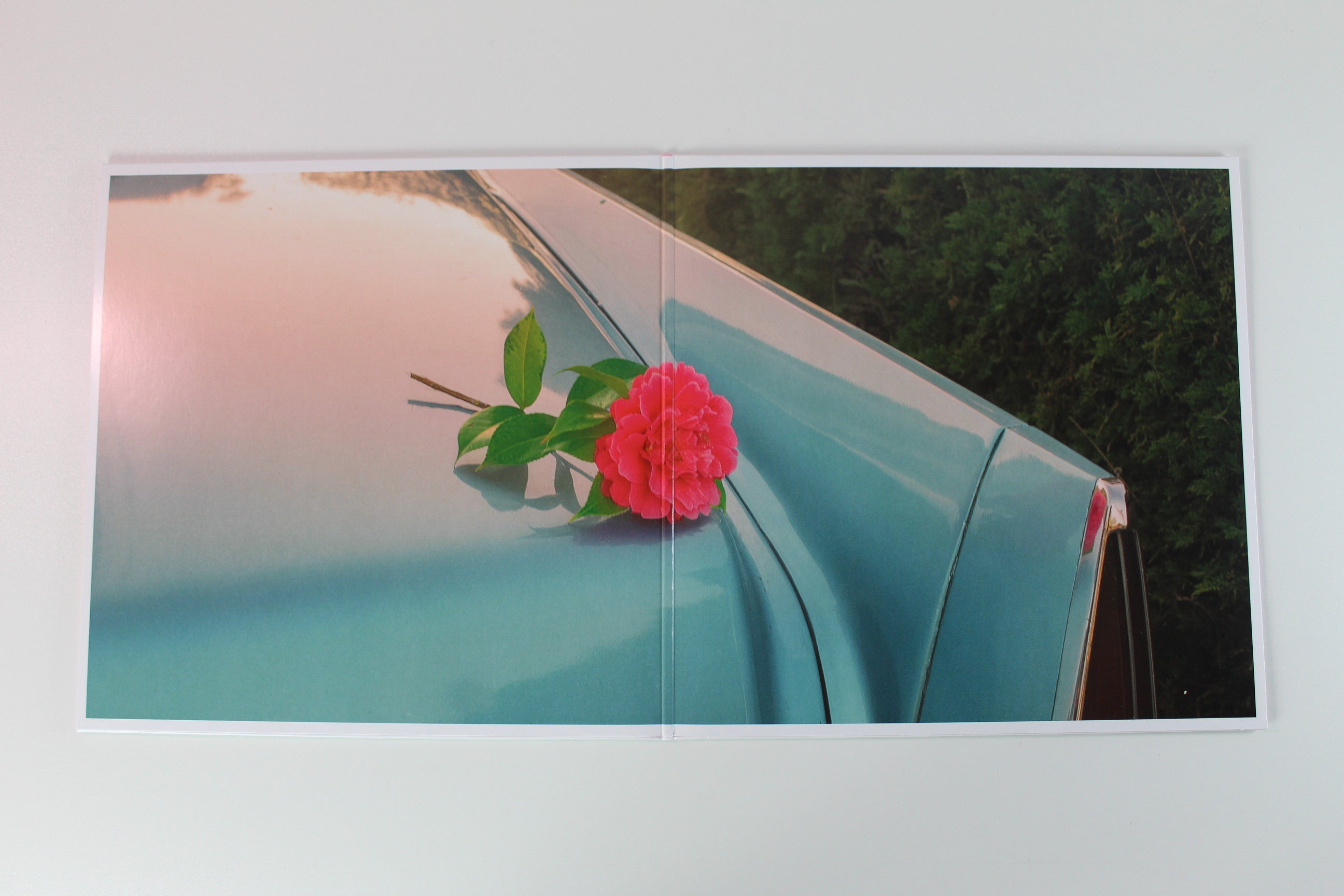 Foals - Life Is Yours on Warner Ltd Clear w/ Dark Green Marble