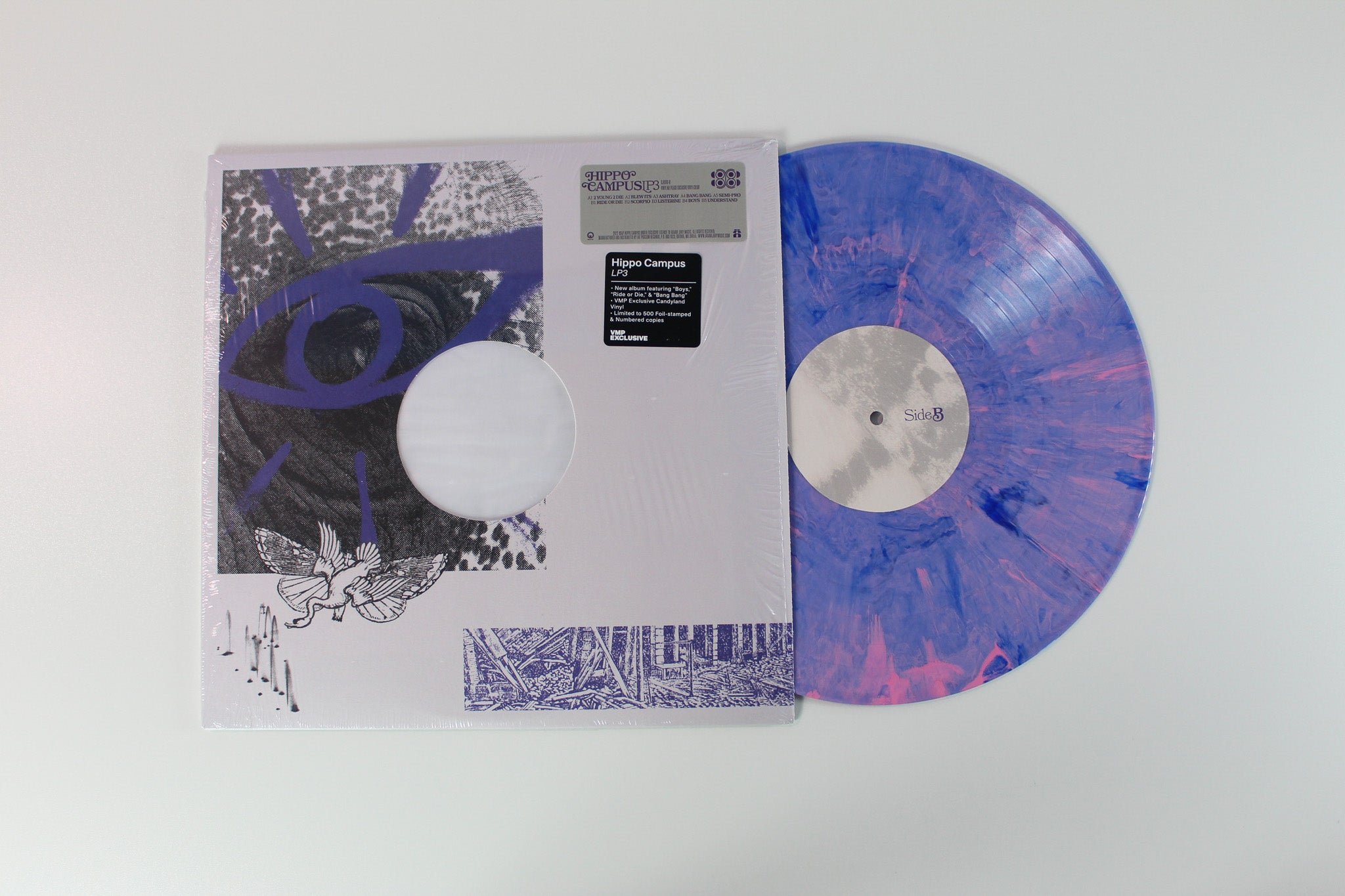 Hippo Campus - LP3 Ltd. Numbered Vinyl Me, Please Candyland Exclusive