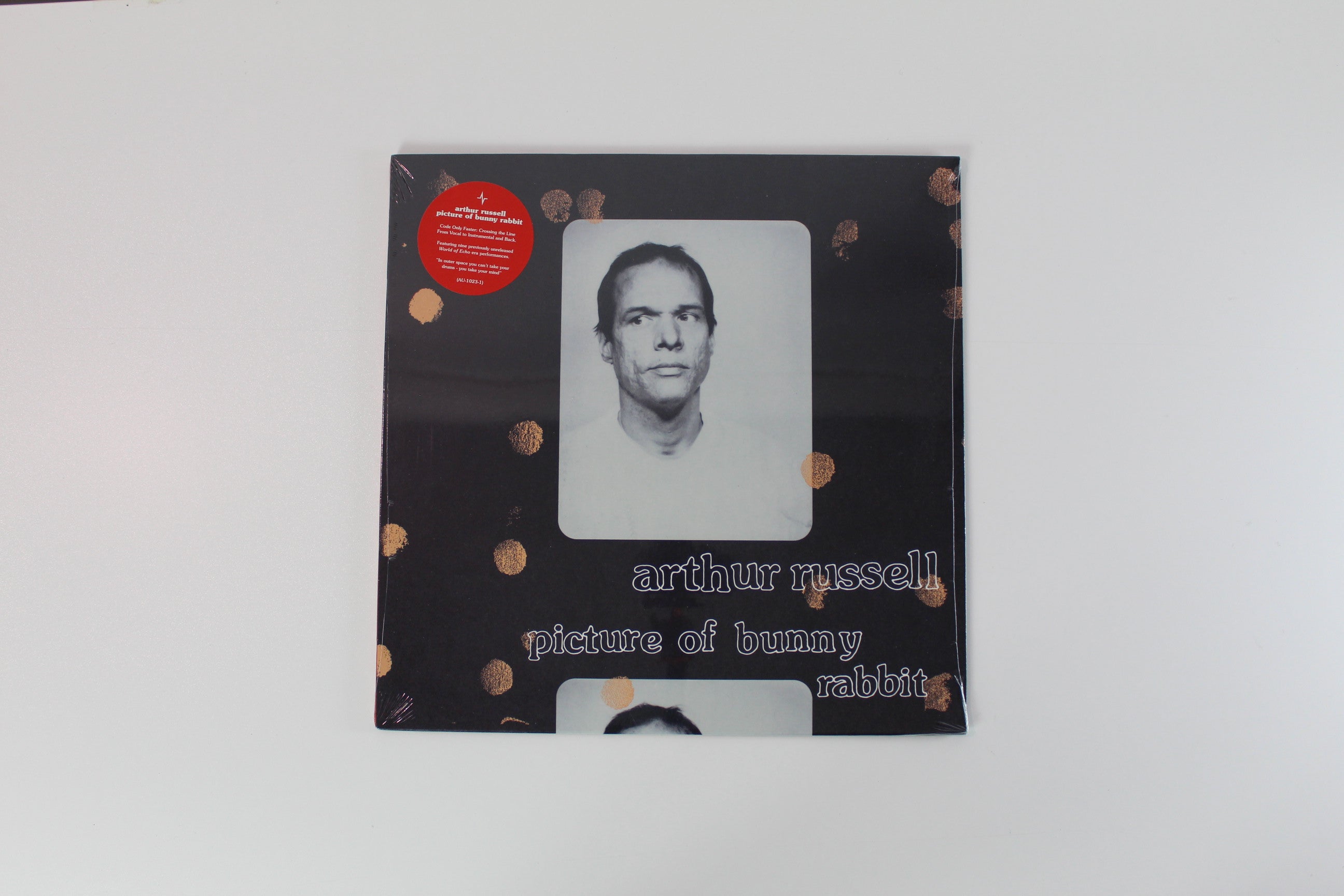 Arthur Russell - Picture Of Bunny Rabbit on Audika Sealed