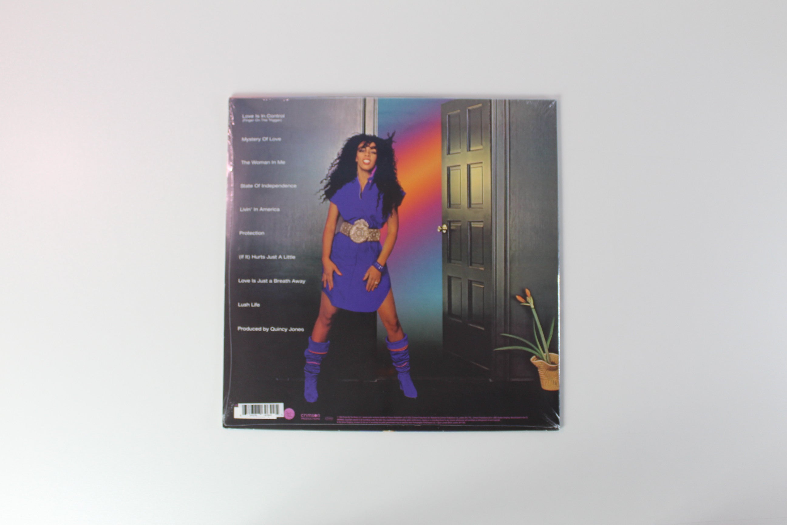 Donna Summer - Donna Summer on Driven By The Music - Picture Disc RSD Reissue