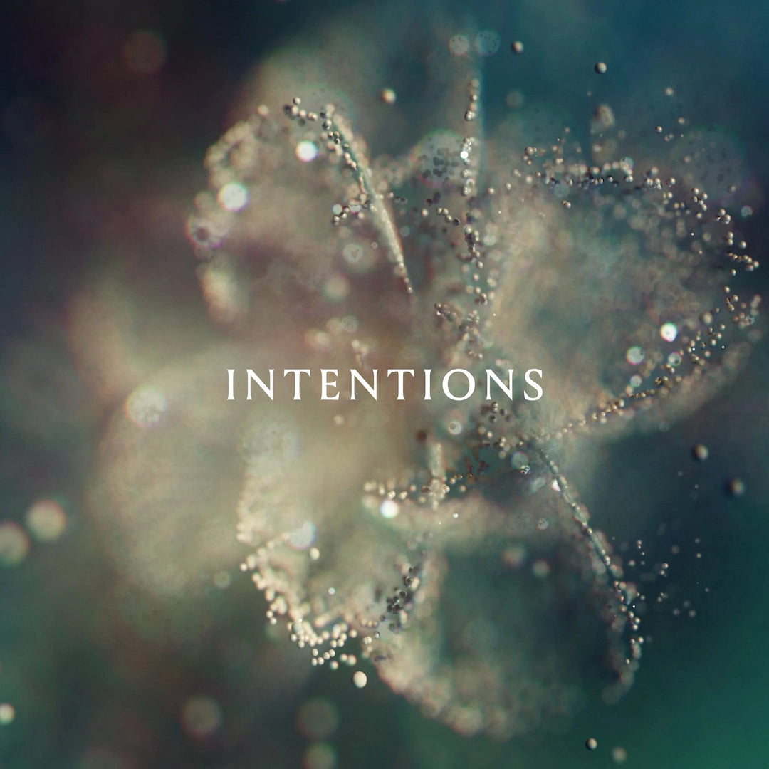 Anna - Intentions