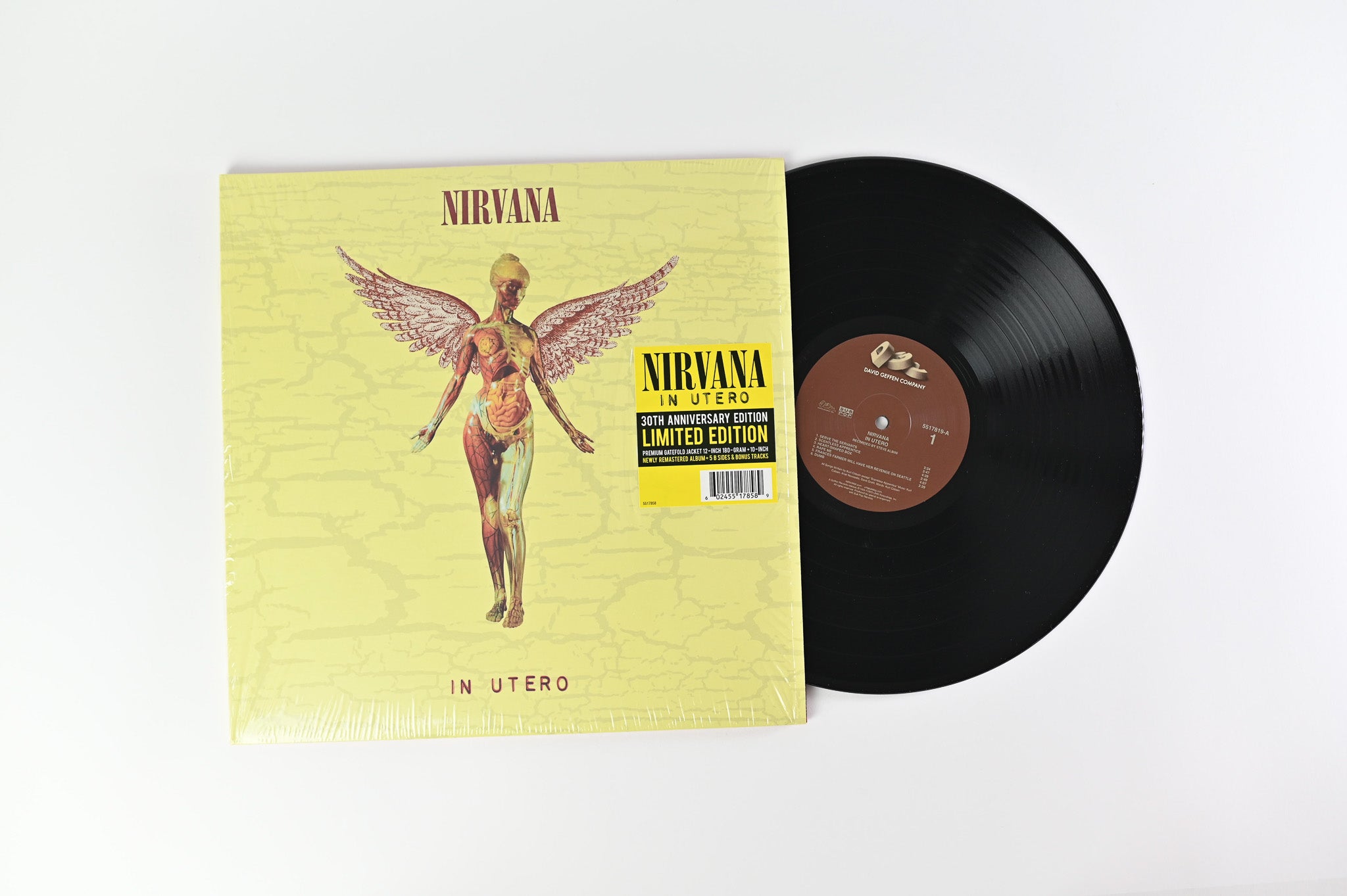 Nirvana - In Utero 30th Anniversary Edition on DGC