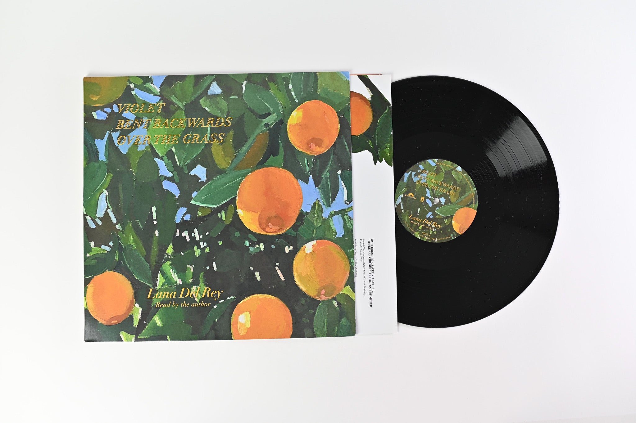 Lana Del Rey - Violet Bent Backwards Over The Grass on Polydor/Interscope Records