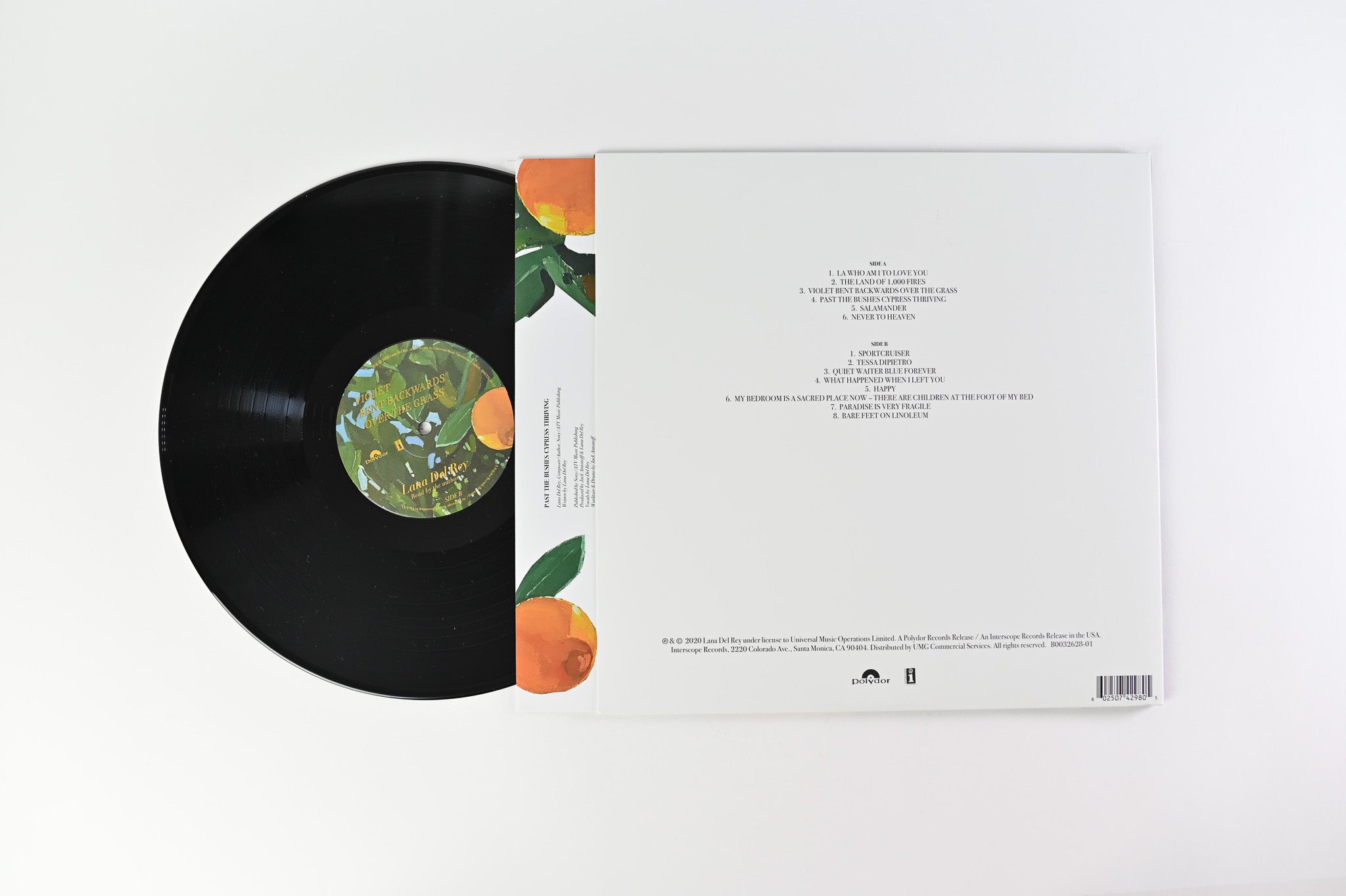 Lana Del Rey - Violet Bent Backwards Over The Grass on Polydor/Interscope Records