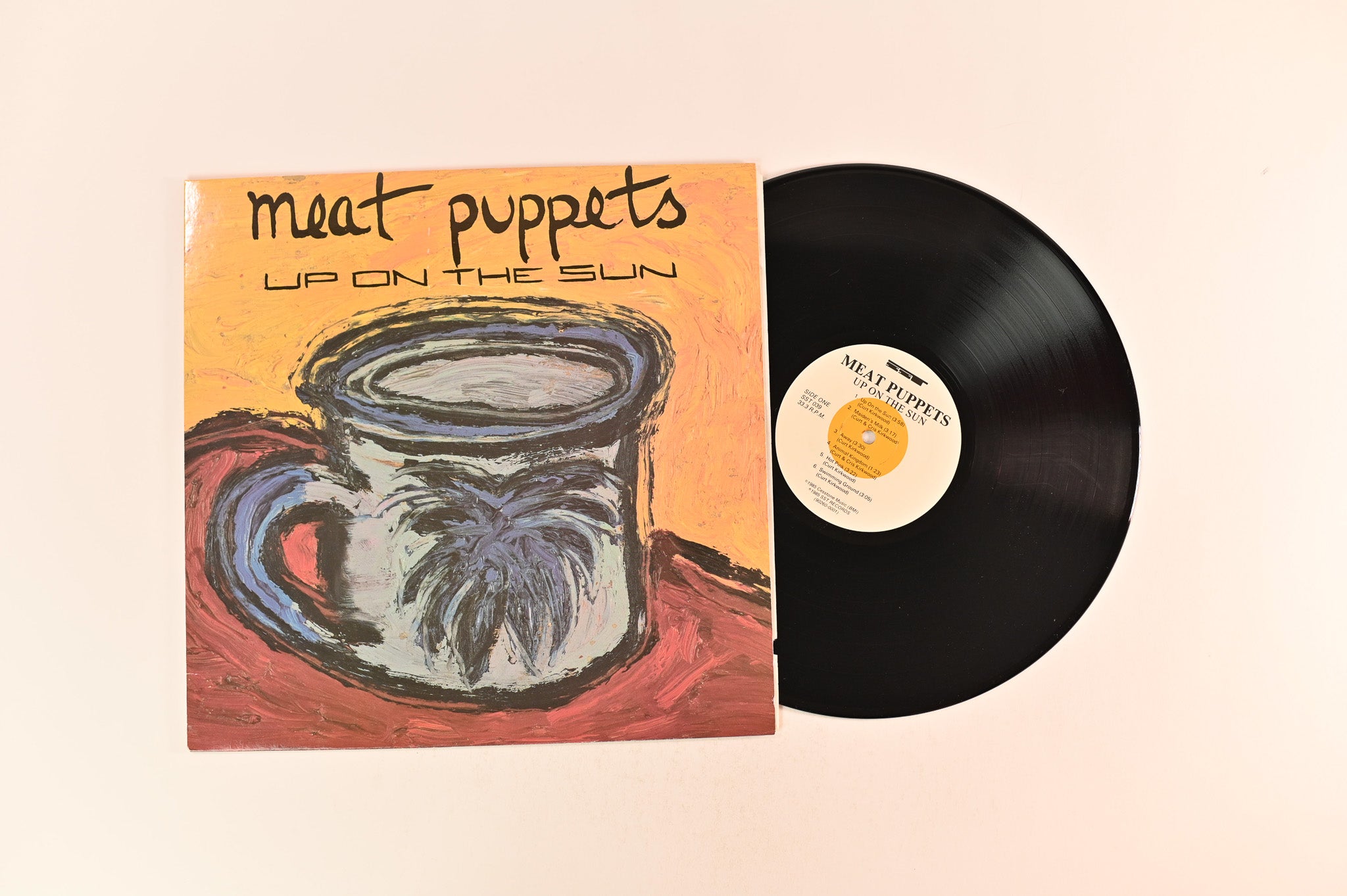 Meat Puppets - Up On The Sun on SST