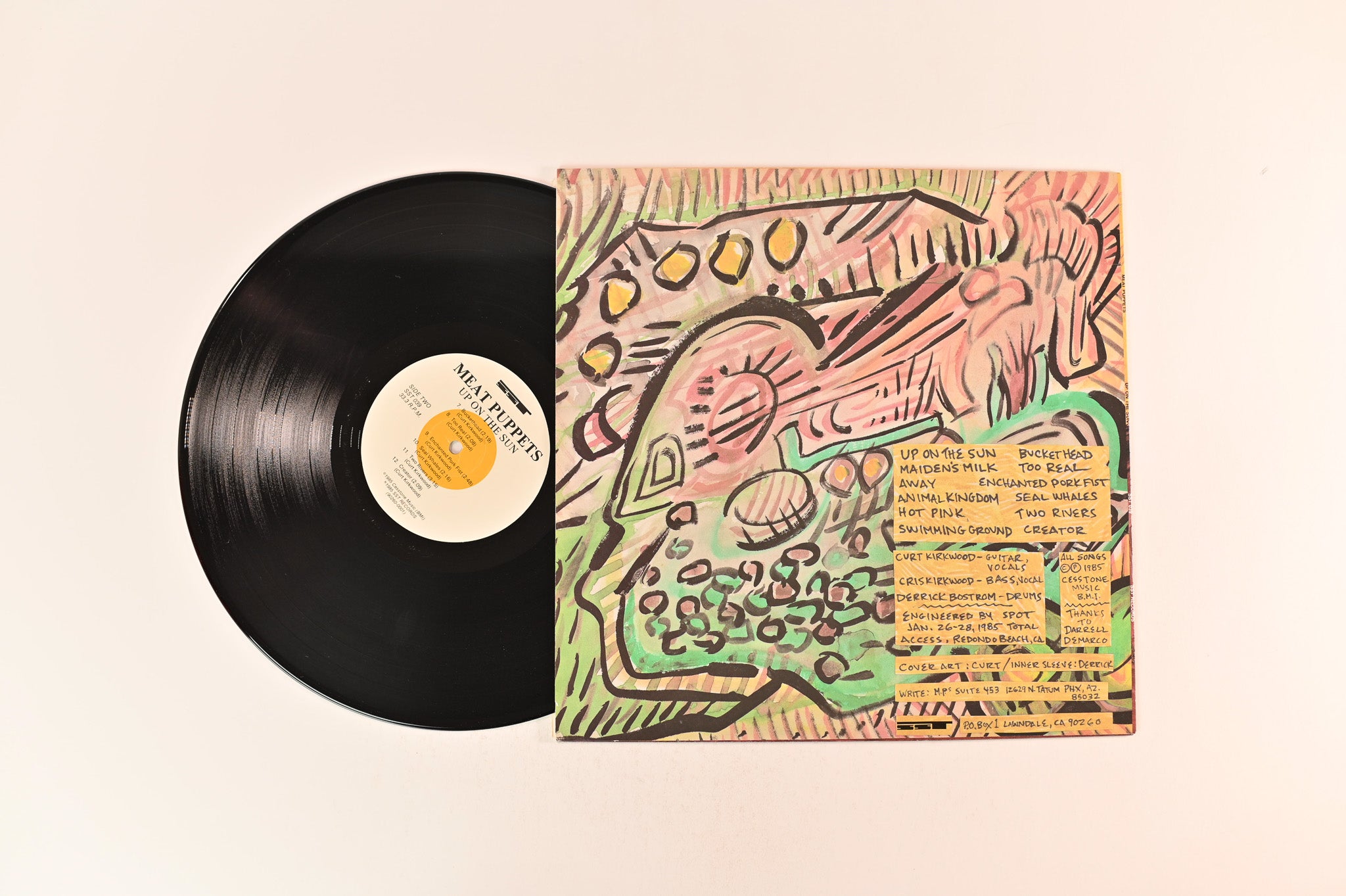 Meat Puppets - Up On The Sun on SST