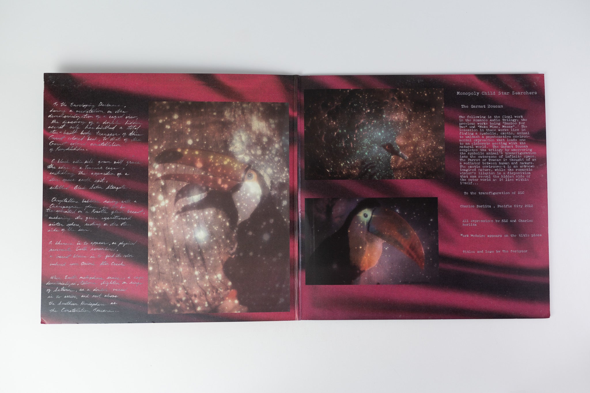 Monopoly Child Star Searchers - The Garnet Toucan on Underwater Peoples Records