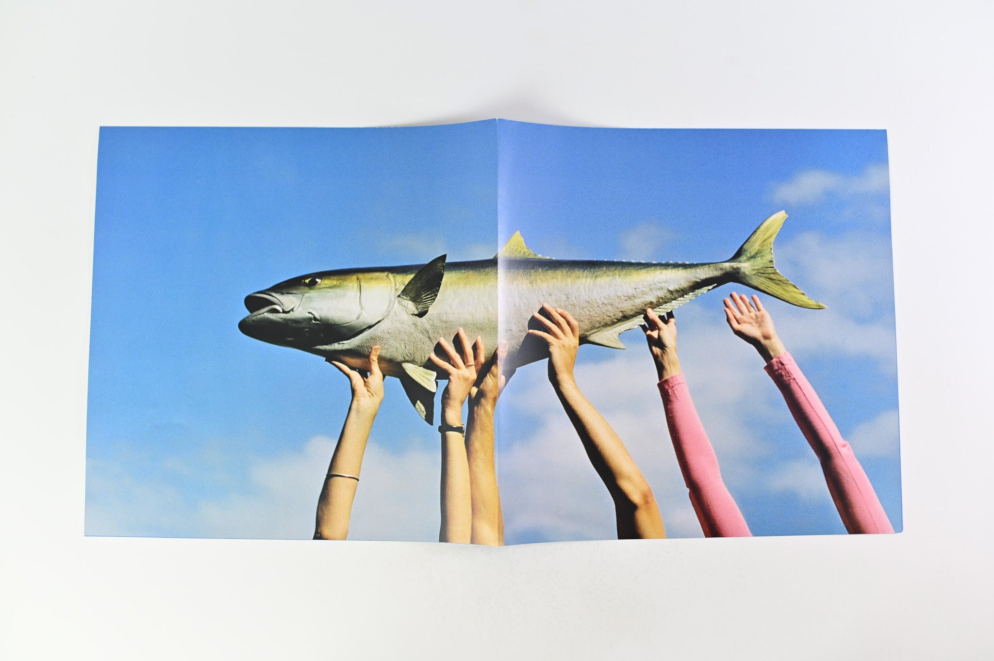 The Beths - Expert In A Dying Field on Carpark Records - Green & Pink Vinyl