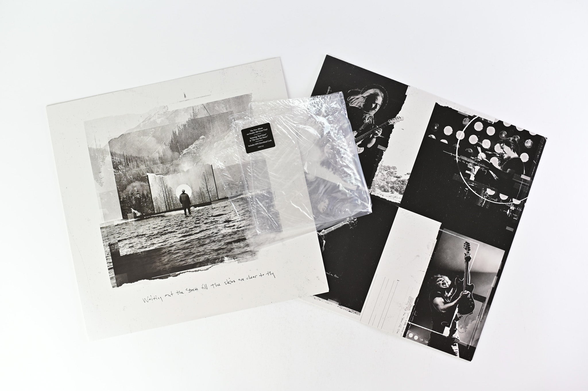 Alice In Chains - Rainier Fog on BMG