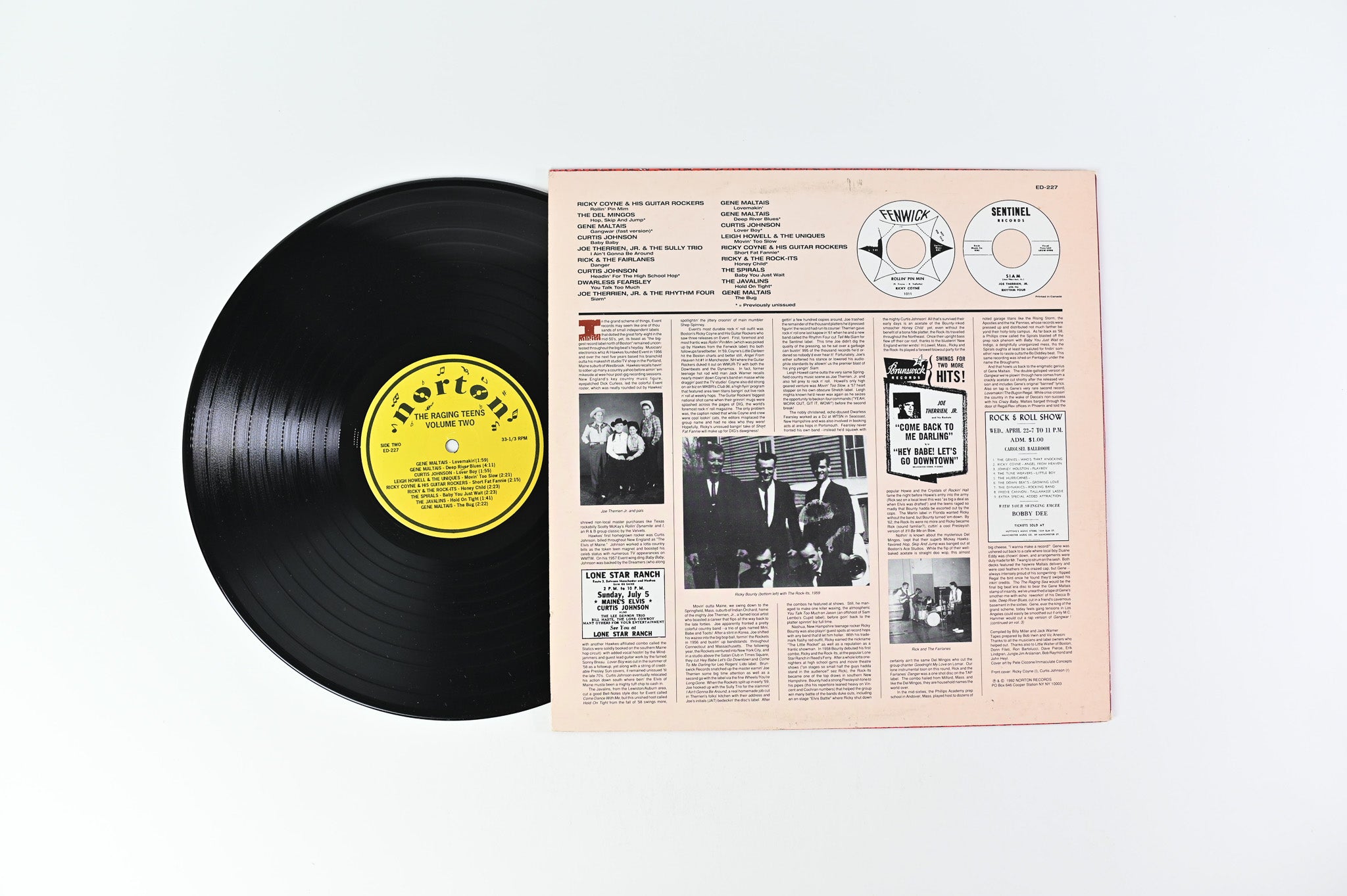 Various - The Raging Teens Volume 2 on Norton Records