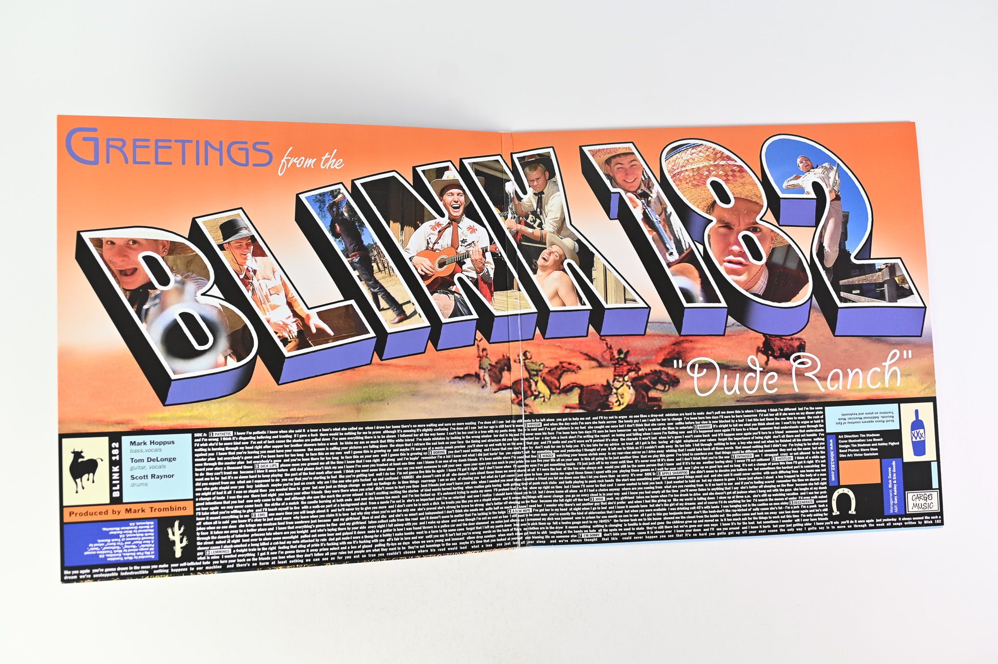 Blink-182 - Dude Ranch on Geffen Ltd Blue Translucent Reissue