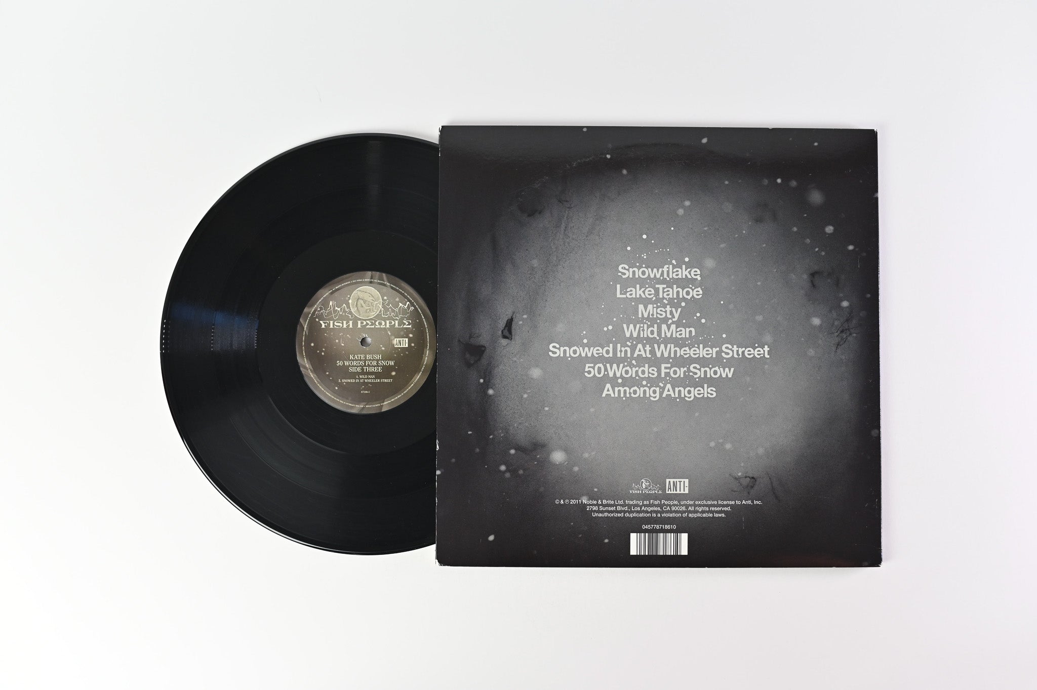 Kate Bush - 50 Words For Snow on Anti-