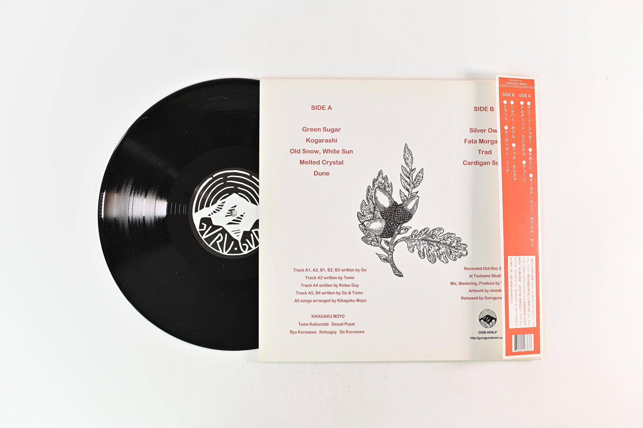 Kikagaku Moyo - House In The Tall Grass on Guruguru Brain Reissue