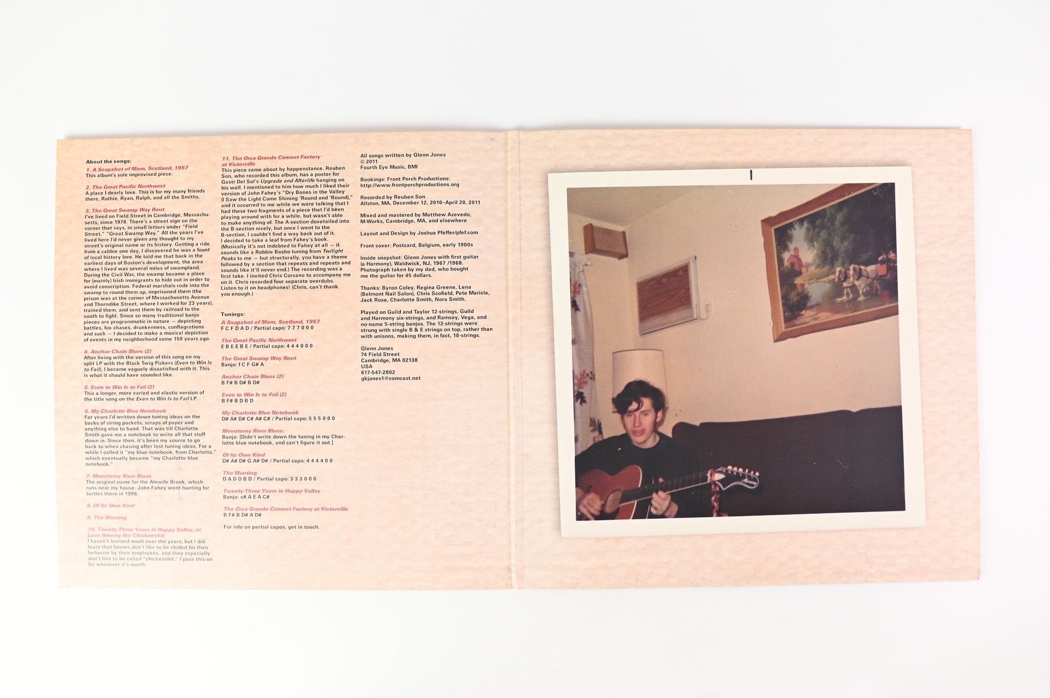 Glenn Jones - The Wanting on Thrill Jockey