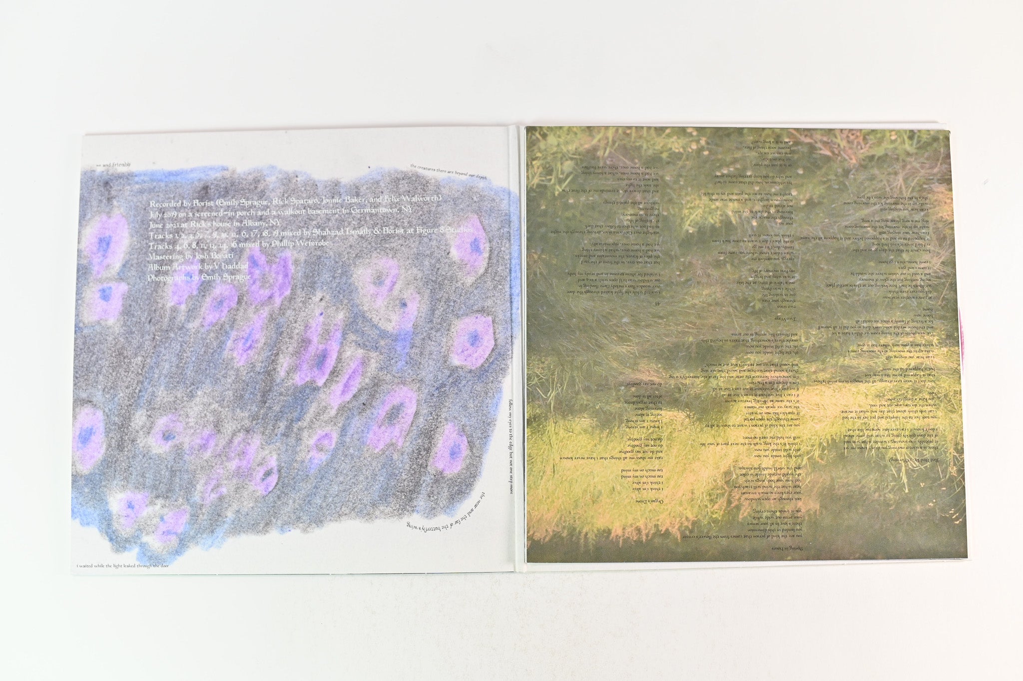 Florist - Florist on Double Double Whammy - Purple Vinyl