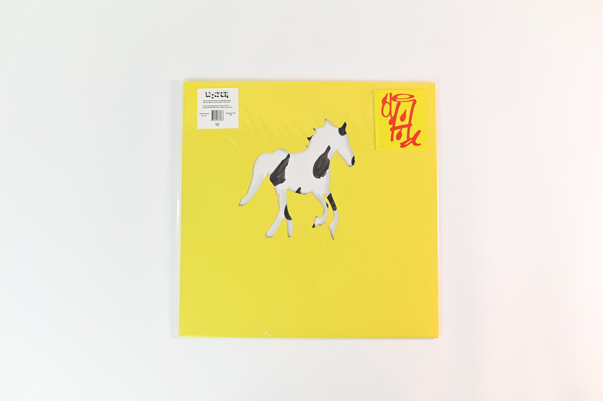 Dehd - Water on Fire Talk - Red Vinyl