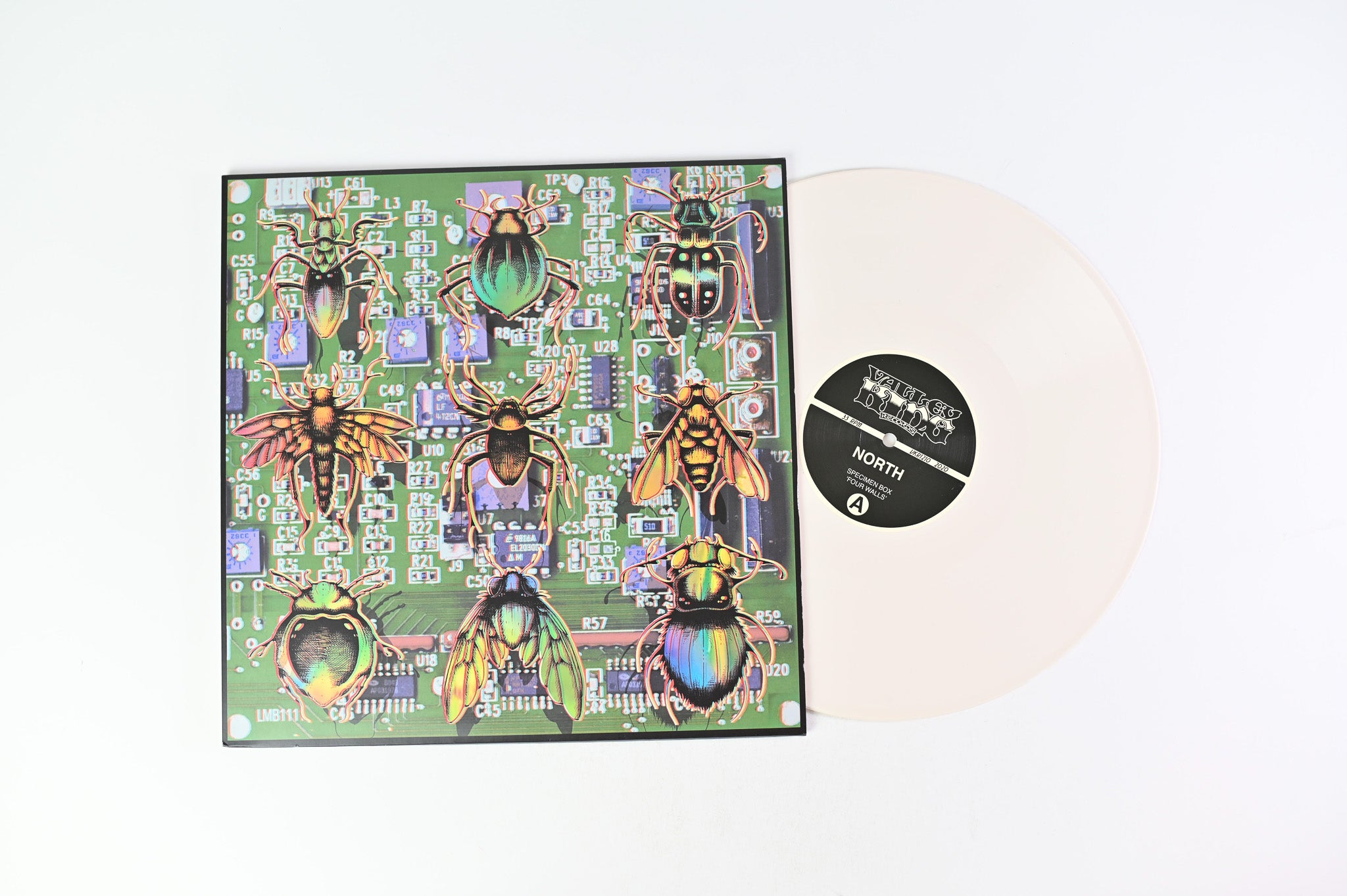 Specimen Box - Four Walls on Valley King Ltd White