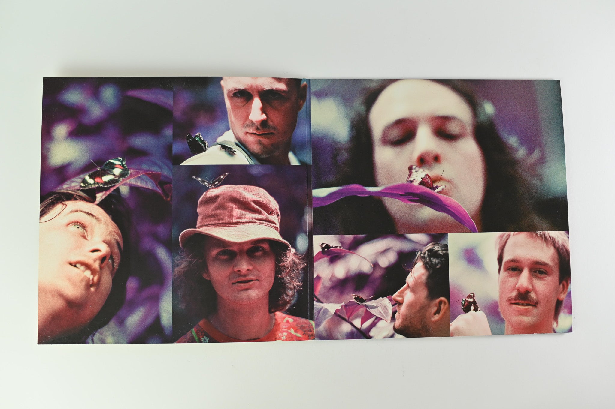 King Gizzard And The Lizard Wizard - Schmetterling 3000