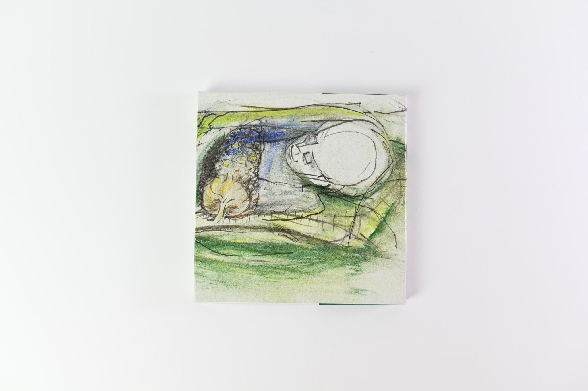 Dinosaur Jr. - Visitors Numero Group RSD 2014 Limited Box Set