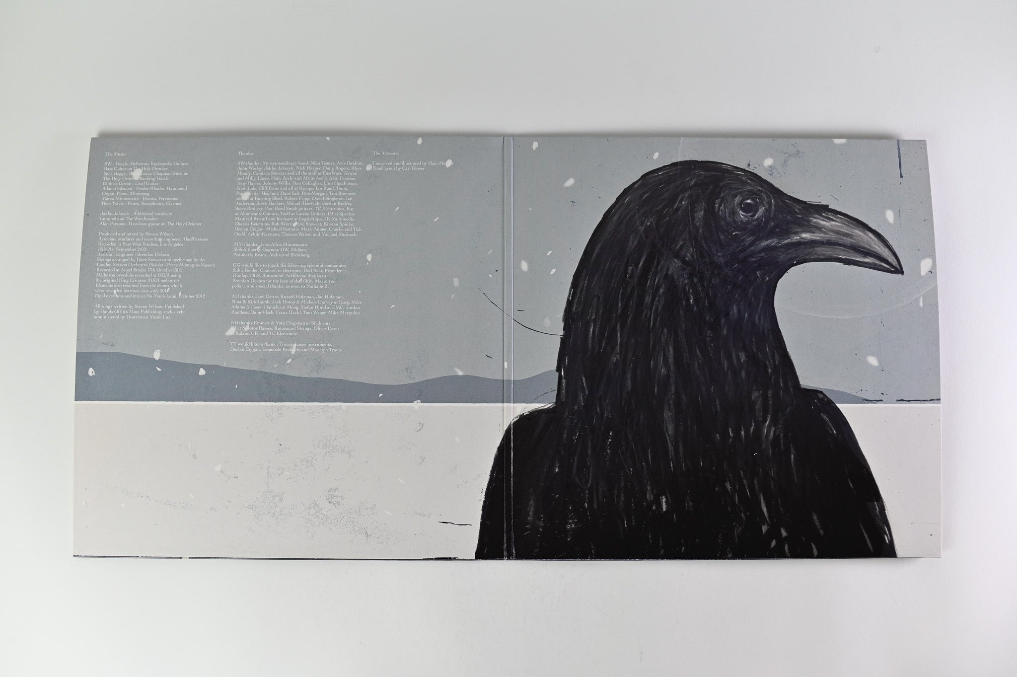 Steven Wilson - The Raven That Refused To Sing (And Other Stories) on Transmission Reissue