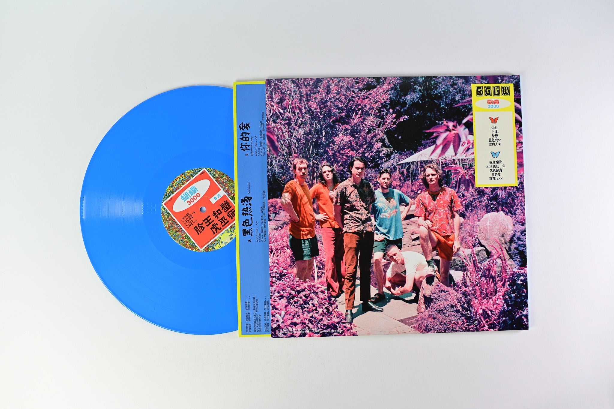 King Gizzard And The Lizard Wizard - 蝴蝶 3000 Butterfly Blue Vinyl