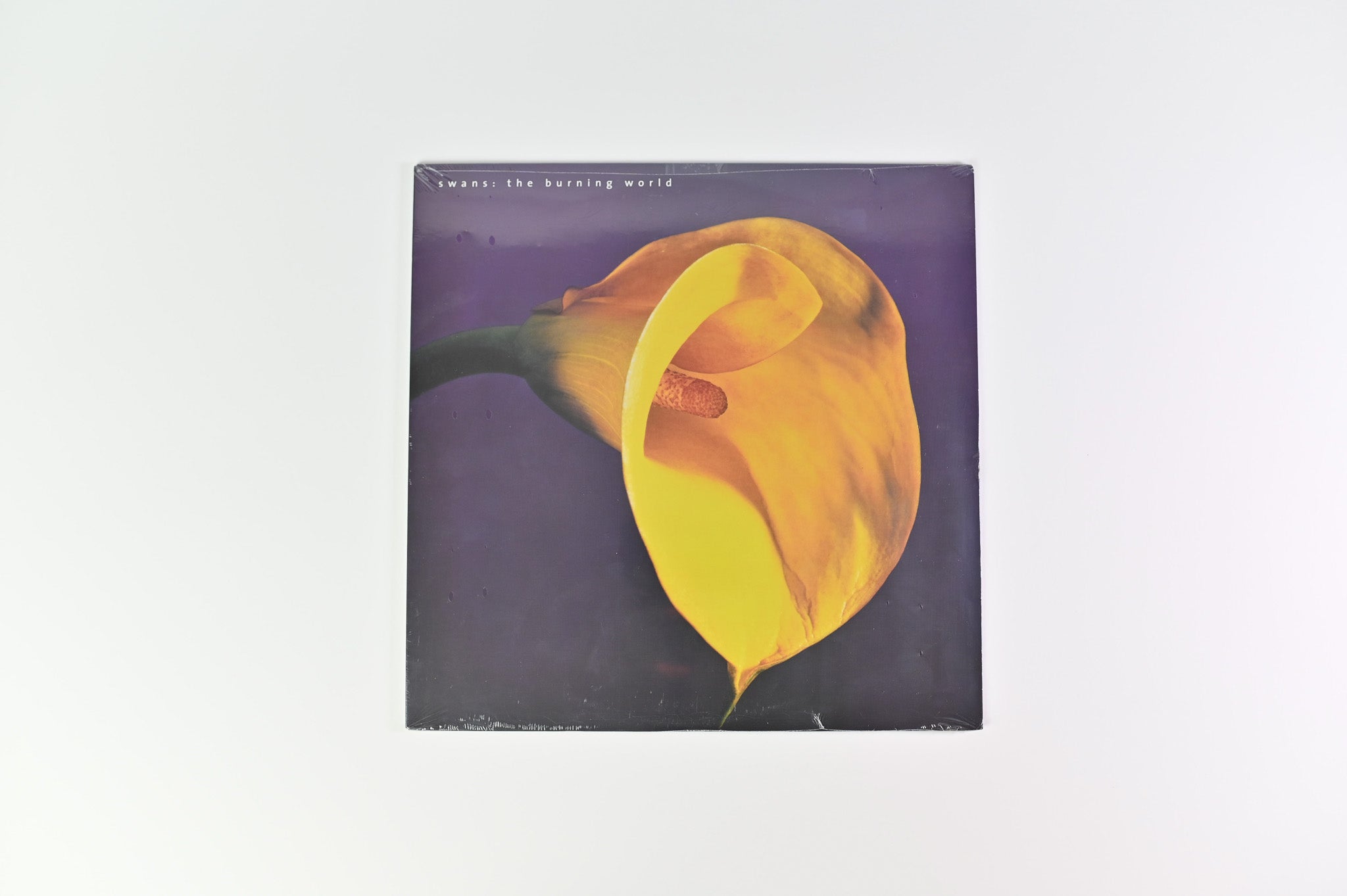 Swans - The Burning World on 1972 UMG Reissue Sealed