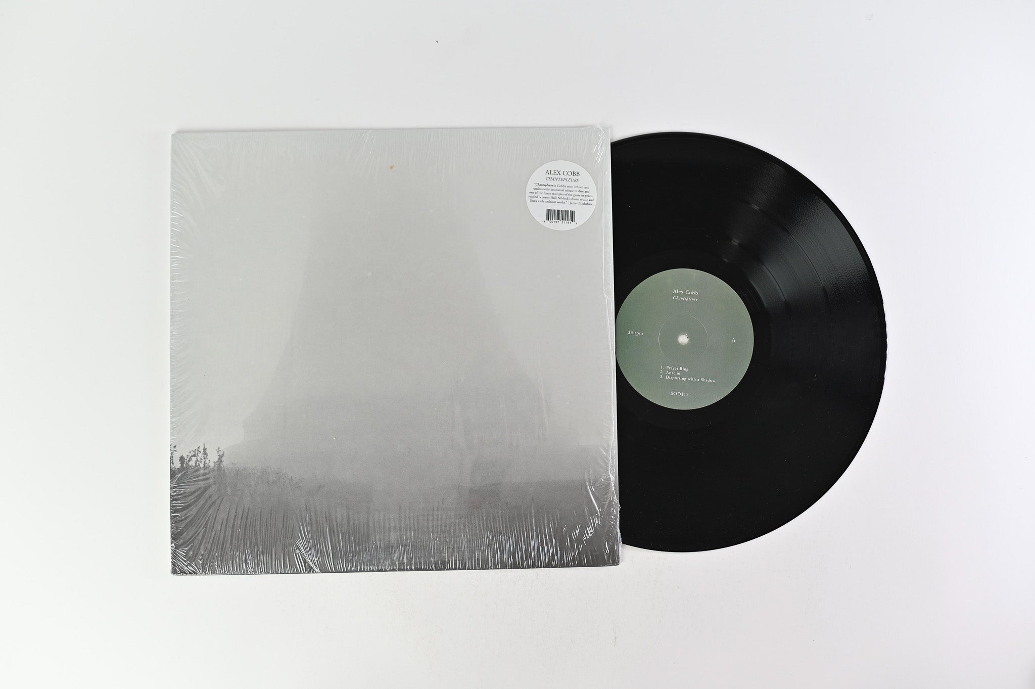 Alex Cobb - Chantepleure on Students Of Decay