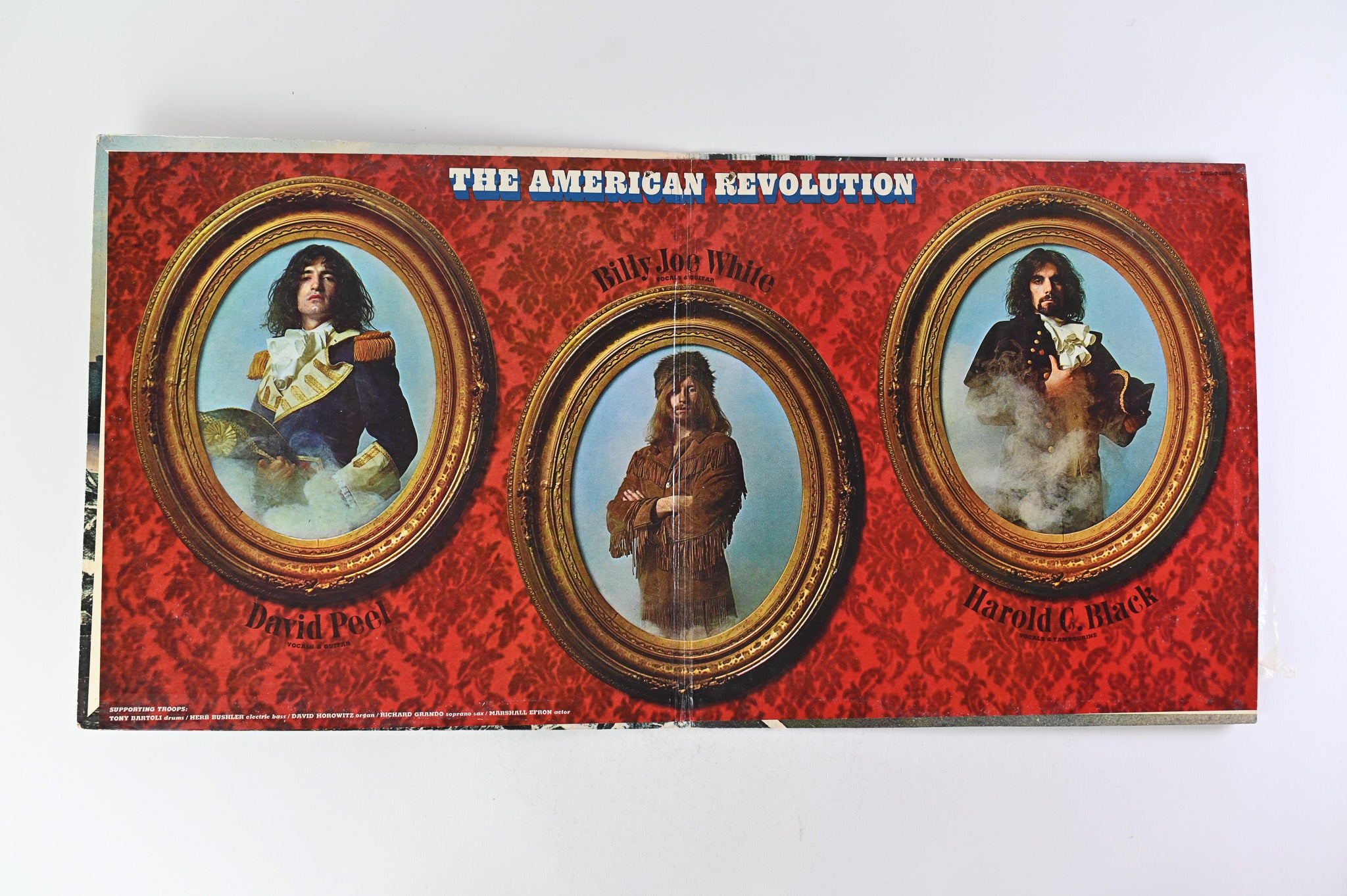 David Peel & The Lower East Side – The American Revolution on Elektra