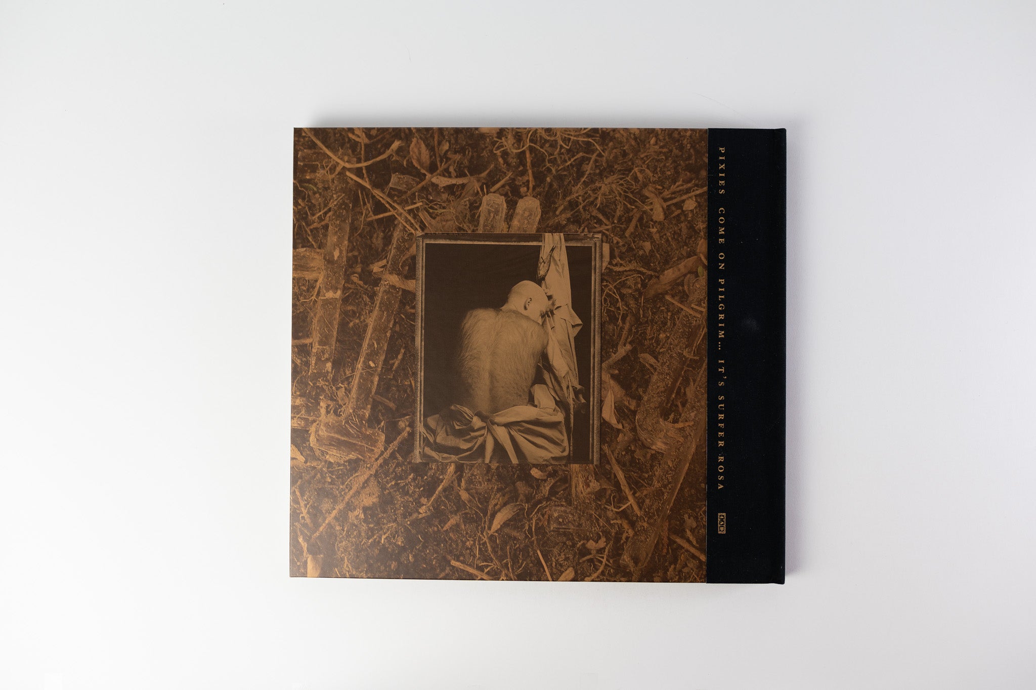 Pixies - Come On Pilgrim... It's Surfer Rosa on 4AD Deluxe Edition Box Set