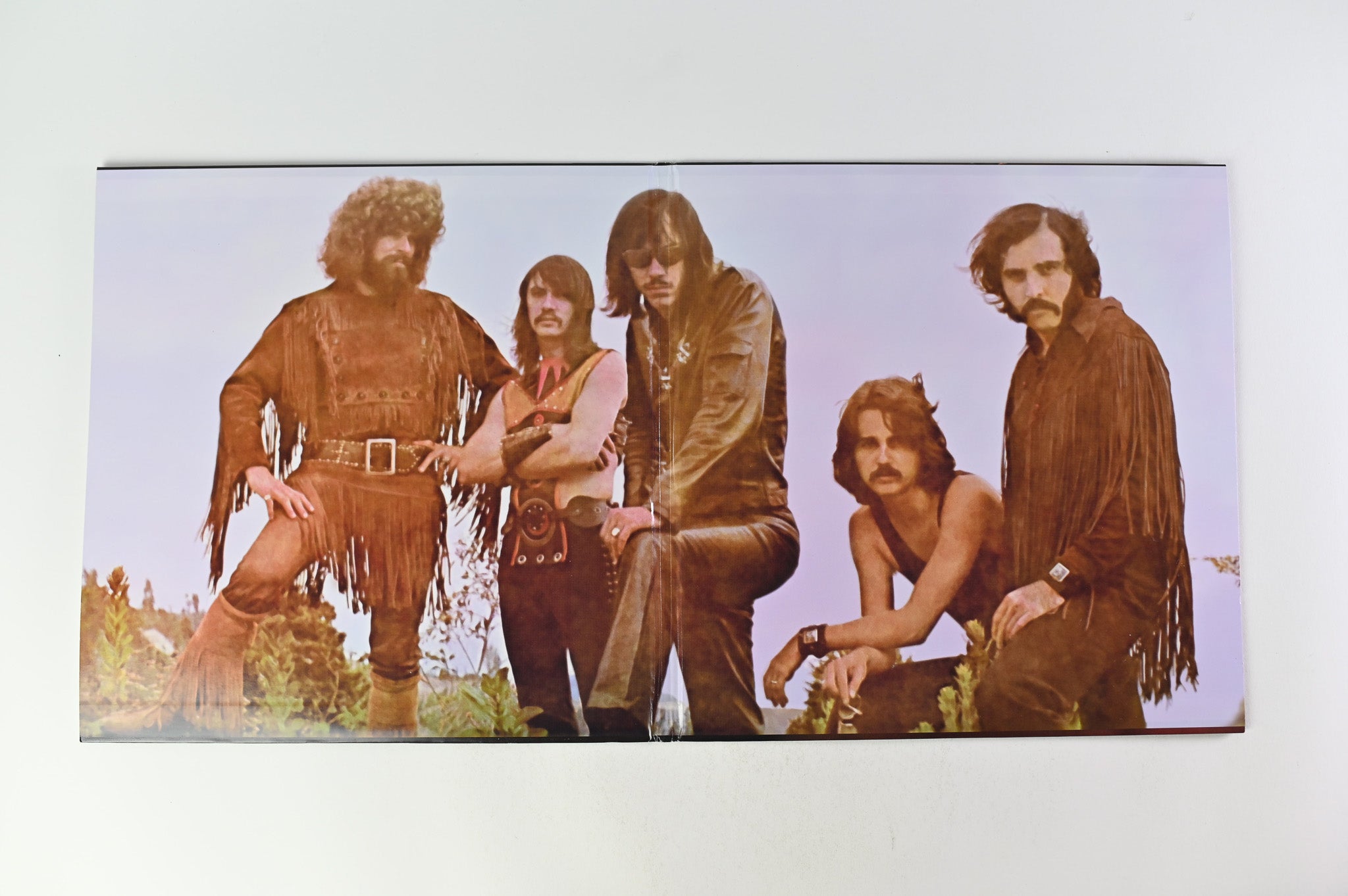 Steppenwolf - Gold (Their Great Hits) on Analogue Productions