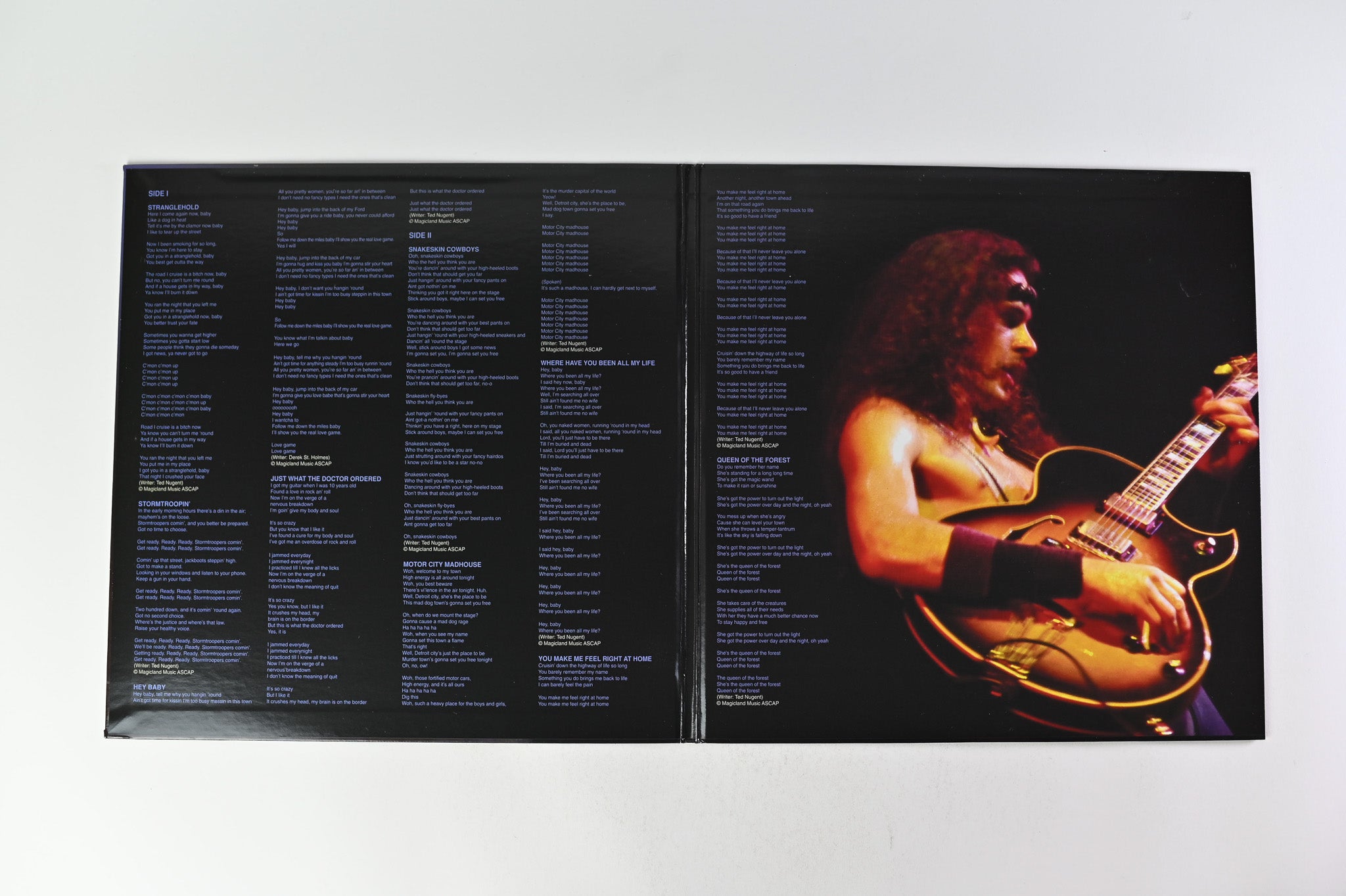 Ted Nugent - Ted Nugent on Analogue Productions