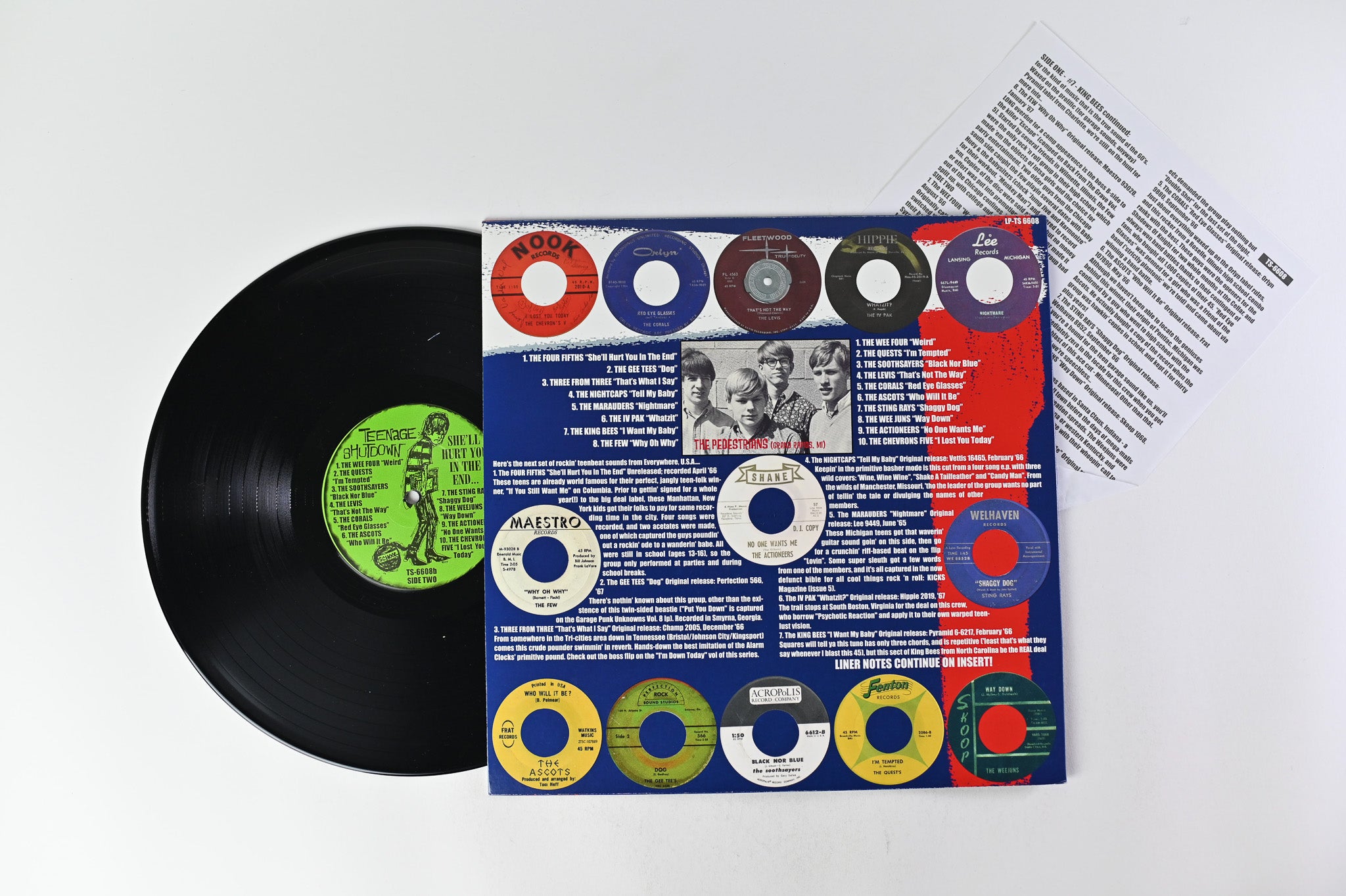 Various - She'll Hurt You In The End (Teener Garage Explosion Volume 2!) on Teenage Shutdown!