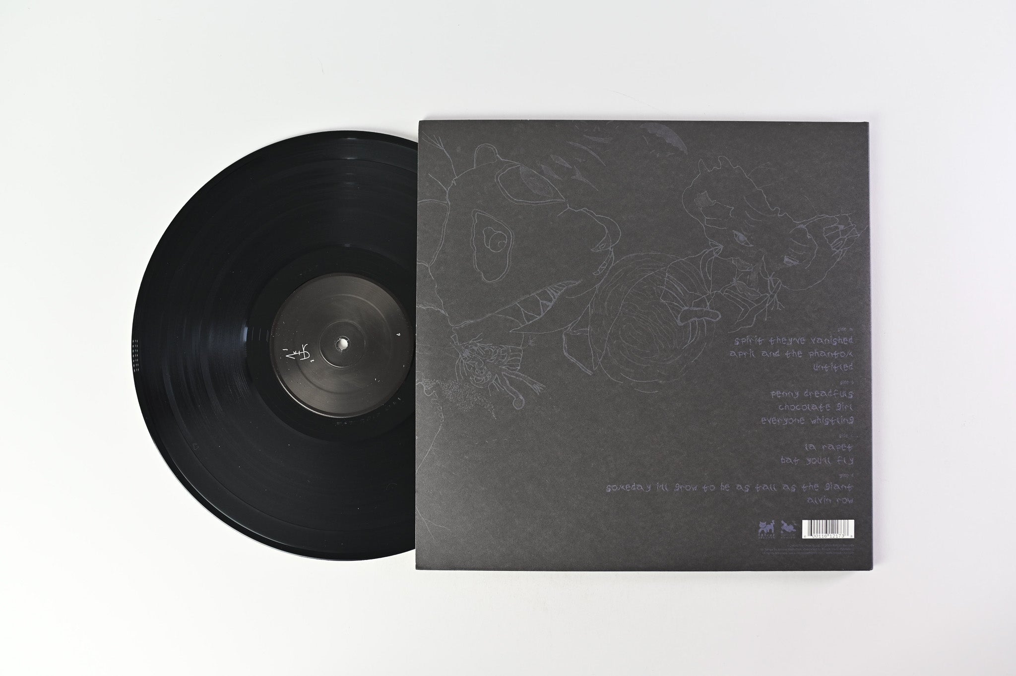 Avey Tare and Panda Bear (Animal Collective)- Spirit They're Gone Spirit They've Vanished on FatCat Splinter Series Reissue