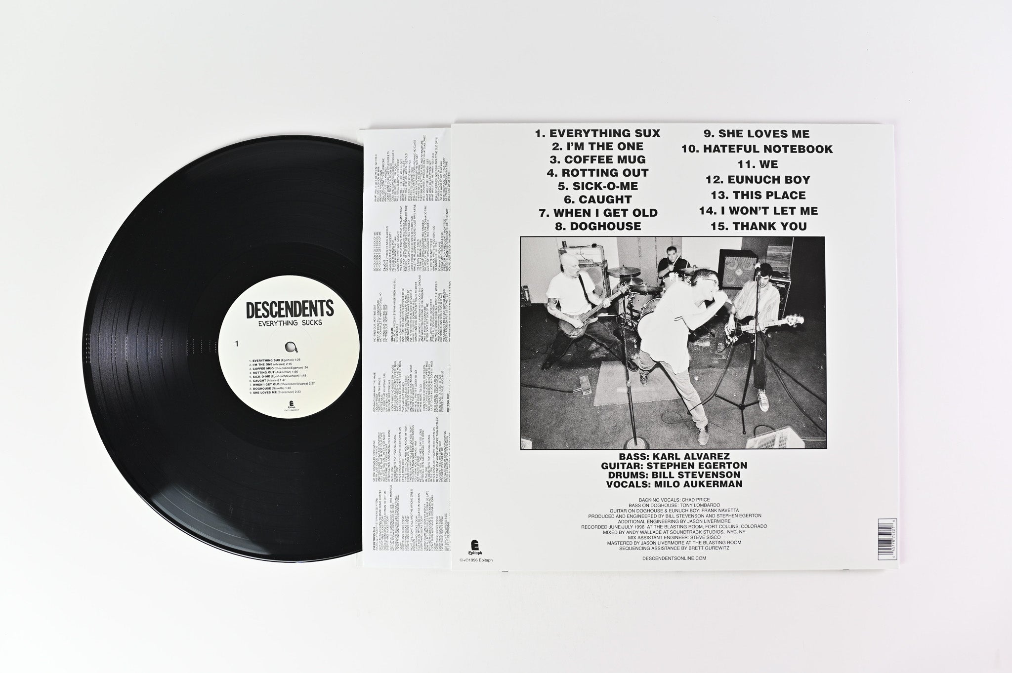 Descendents - Everything Sucks on Epitaph 180 Gram Reissue Plus 7"