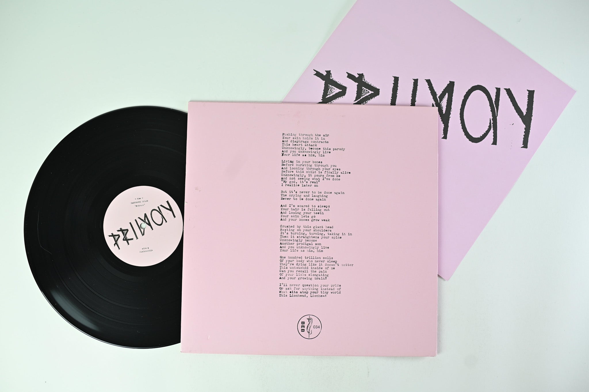 Raspberry Bulbs - Privacy on Blackest Ever Black