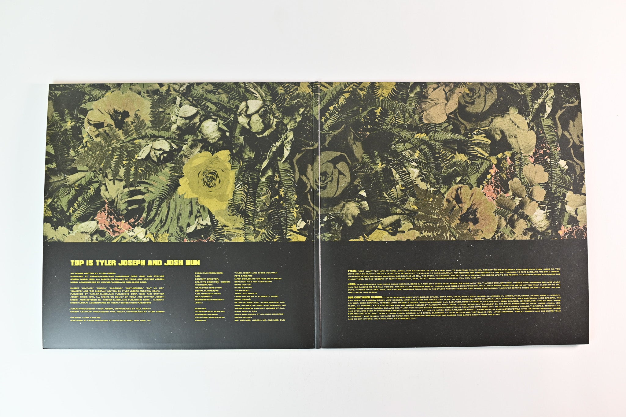 Twenty One Pilots - Trench on Fueled By Ramen Olive Vinyl