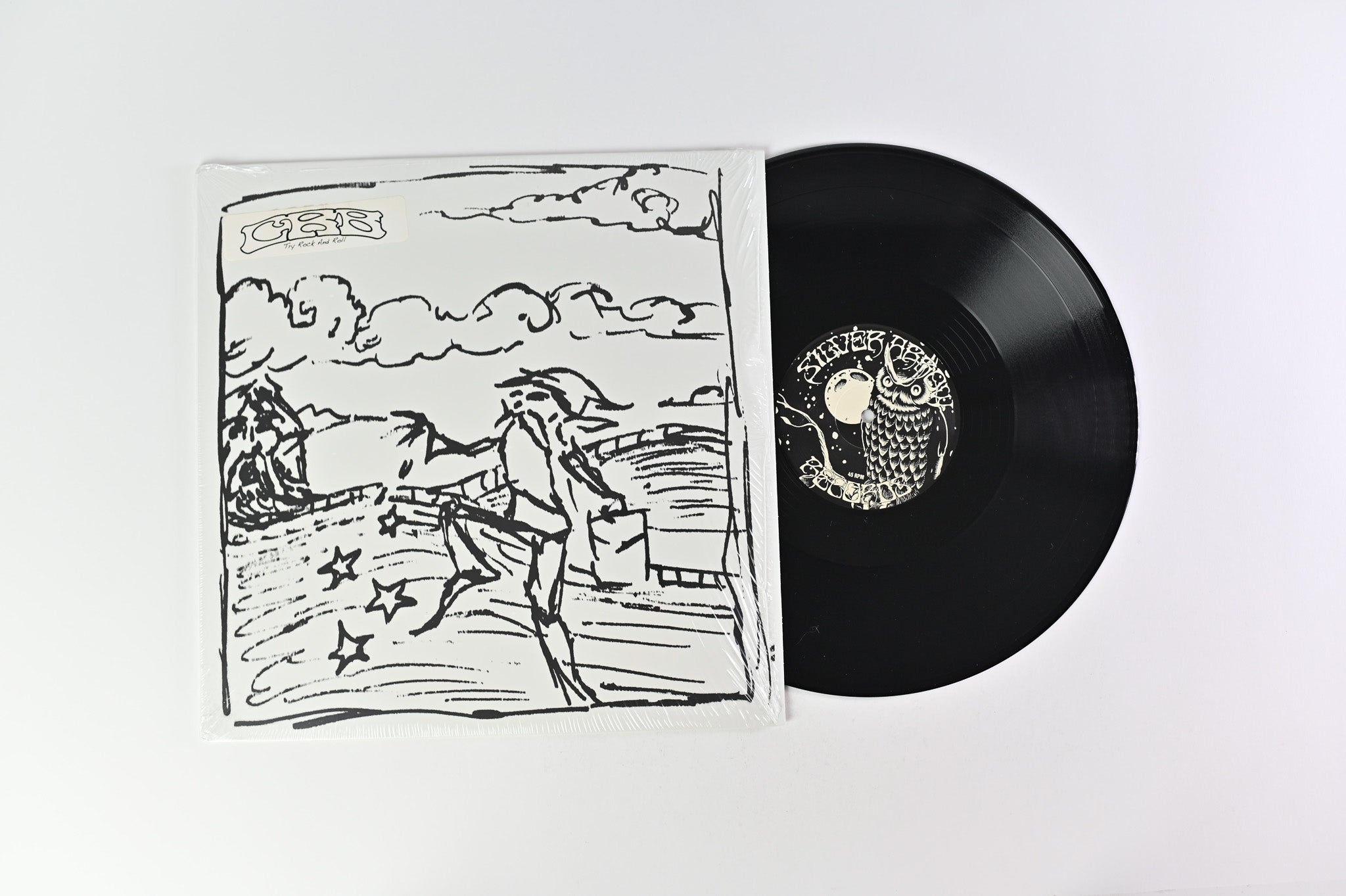 The Chris Robinson Brotherhood - Try Rock And Roll on Silver Arrow Ltd RSD Black Friday 2014