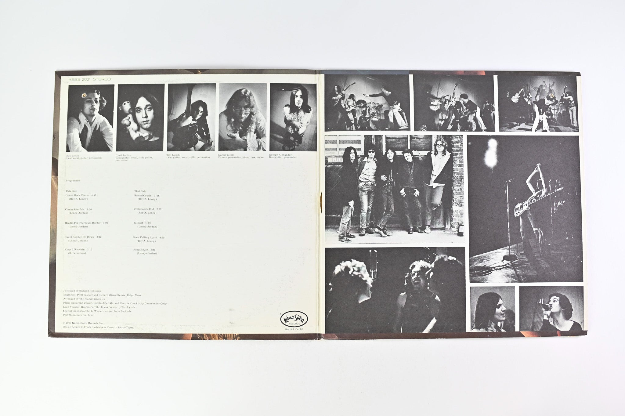 The Flamin' Groovies - Flamingo on Kama Sutra