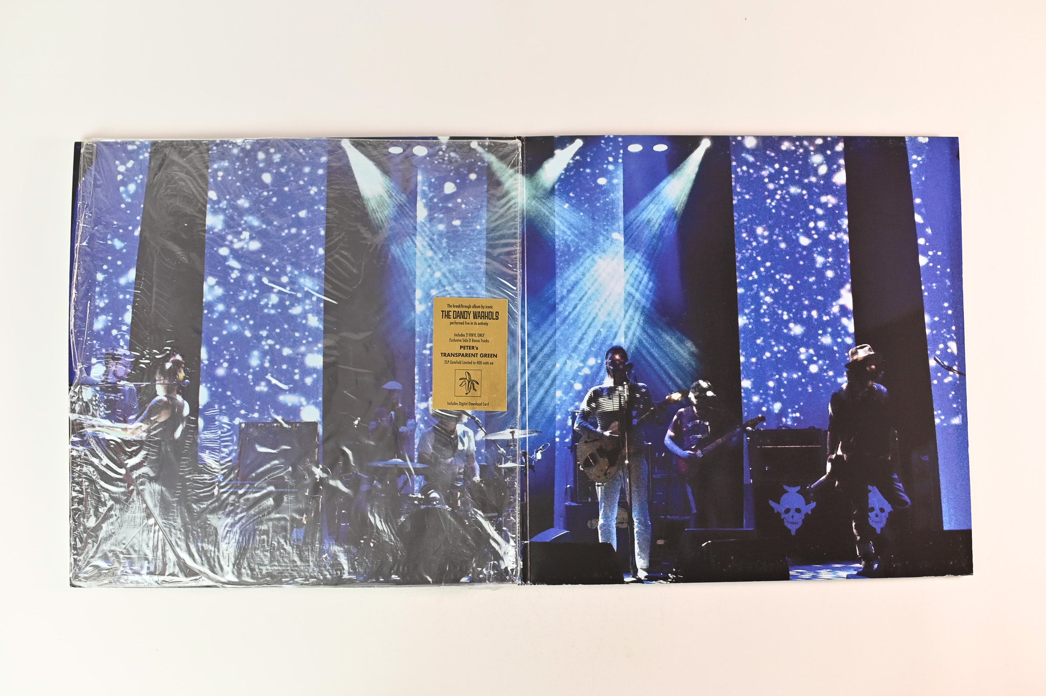 The Dandy Warhols - Thirteen Tales From Urban Bohemia Live At The Wonder on The End Ltd Green