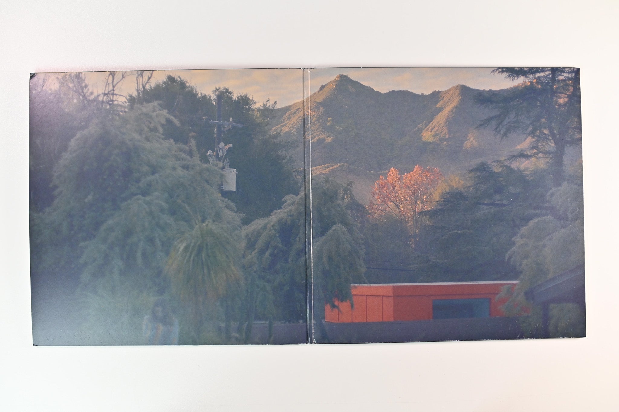 Birdy - Young Heart on Atlantic