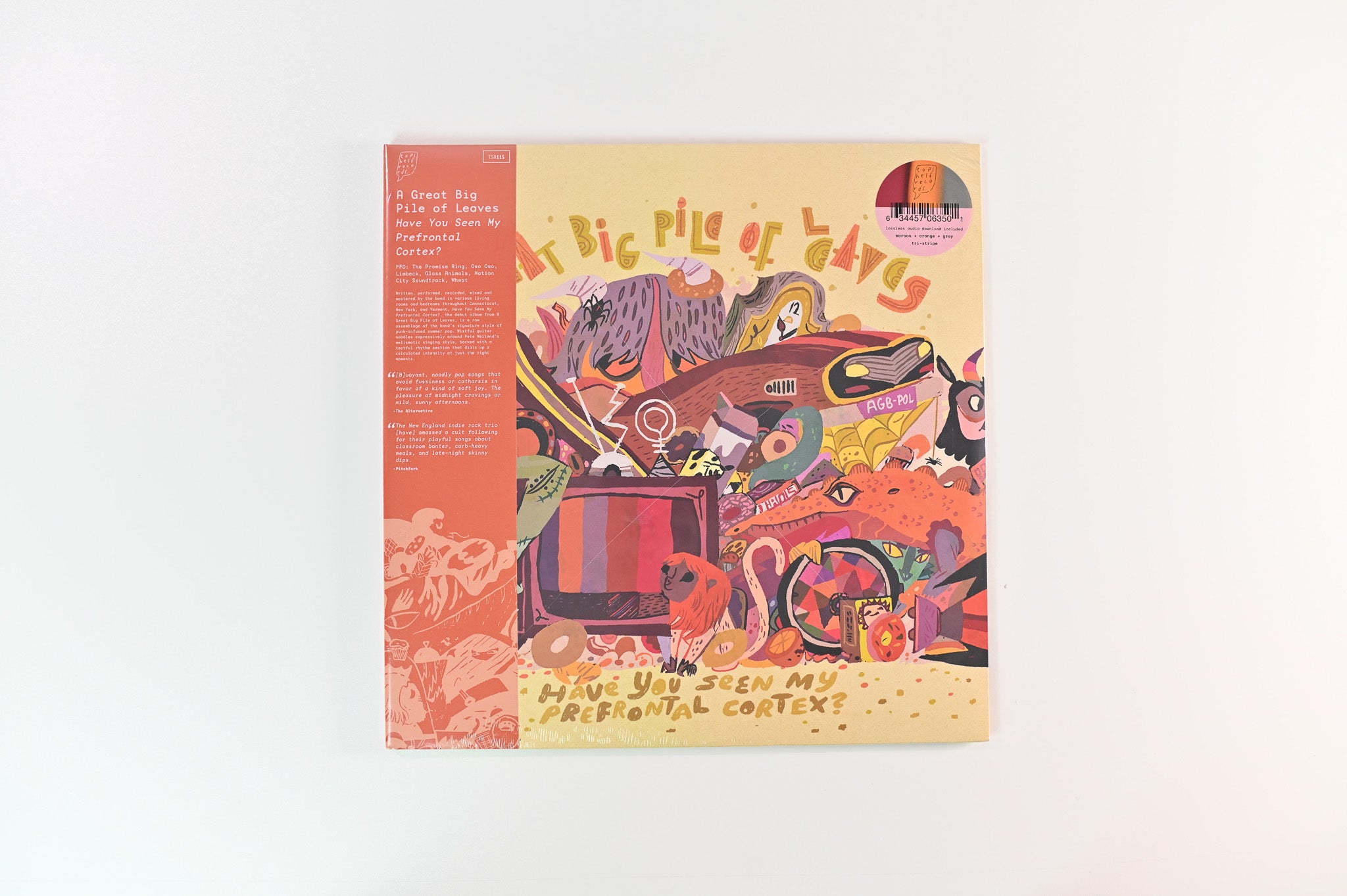 A Great Big Pile Of Leaves - Have You Seen My Prefrontal Cortex? on Topshelf Records -Sealed