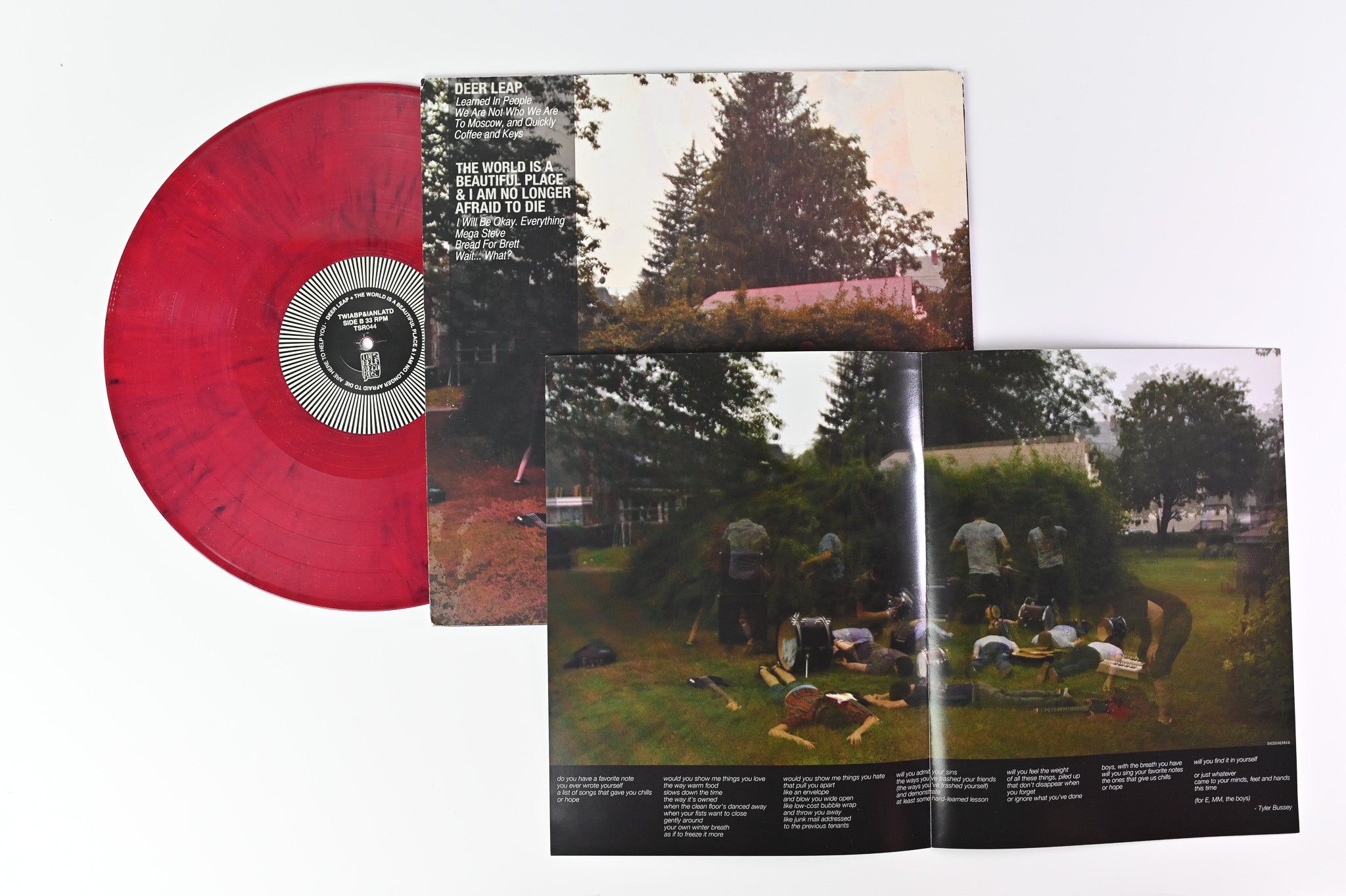 Deer Leap - Are Here To Help You on Topshelf Ltd Opaque Dark Red Vinyl
