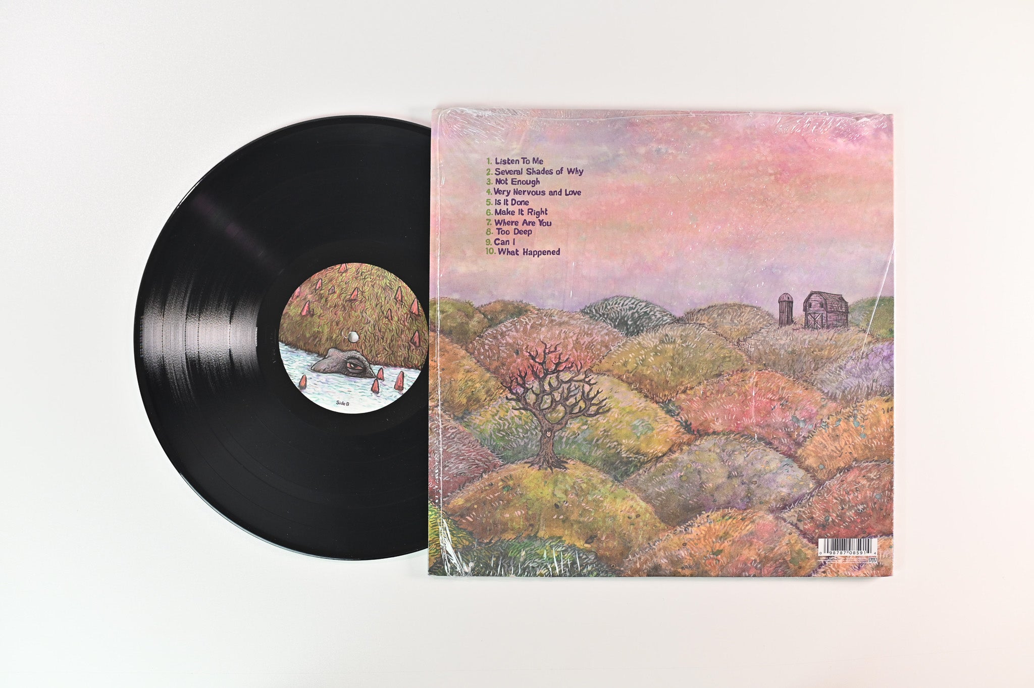 J Mascis - Several Shades Of Why on Sub Pop