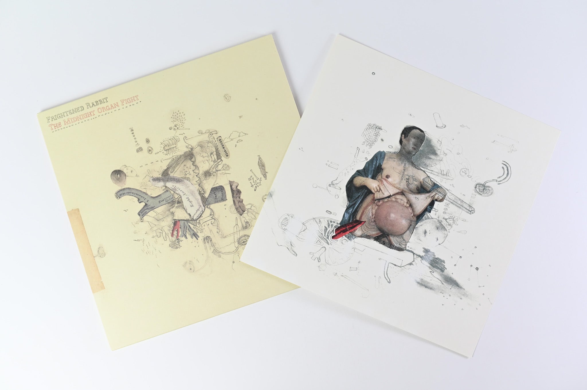 Frightened Rabbit - The Midnight Organ Fight on FatCat Ltd Numbered RSD 2013 Reissue