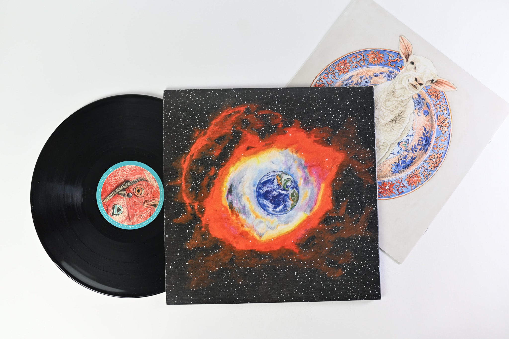 Osso - Run Rabbit Run on Asthmatic Kitty