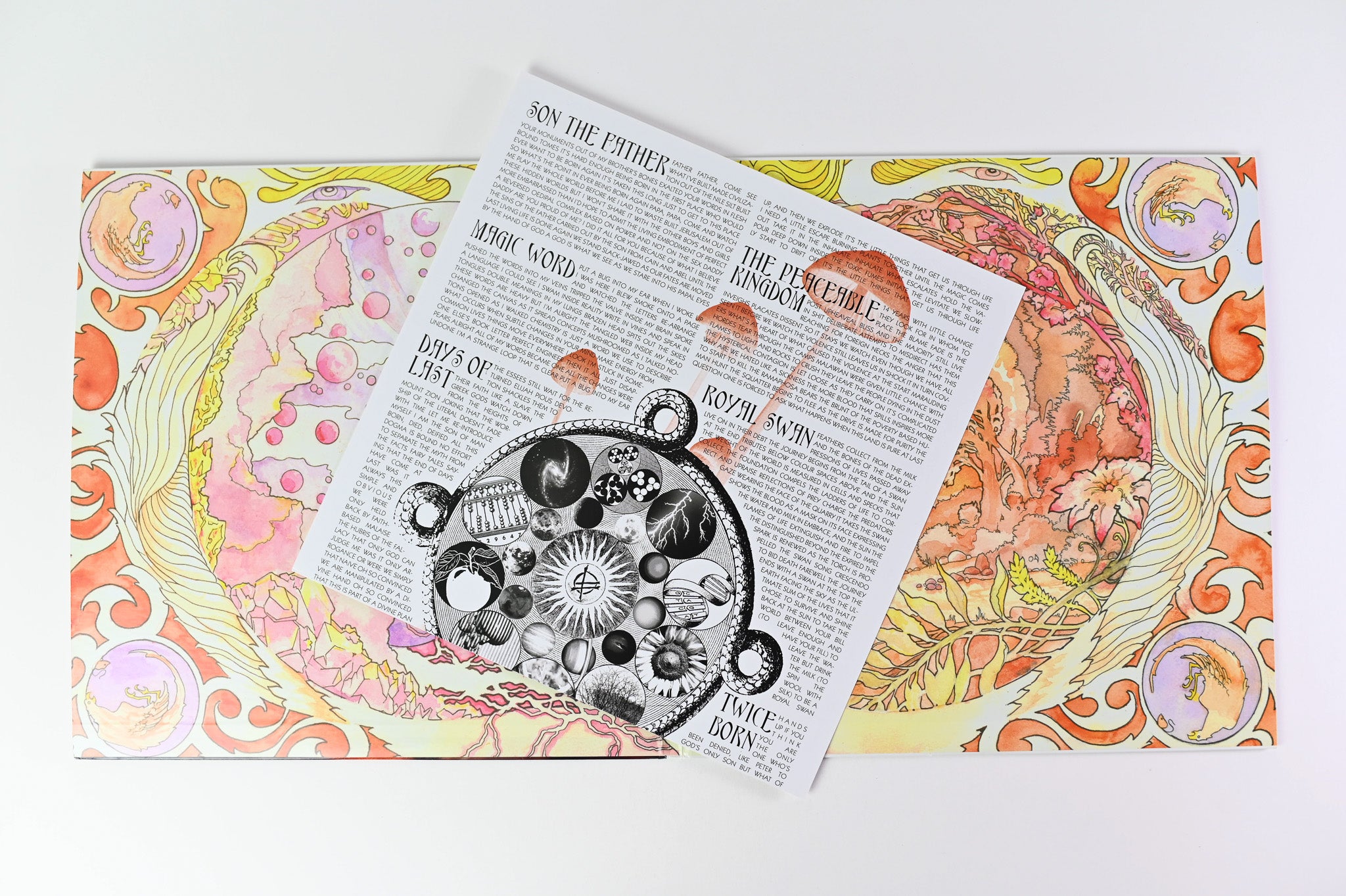 Fucked Up - The Chemistry Of Common Life on Matador