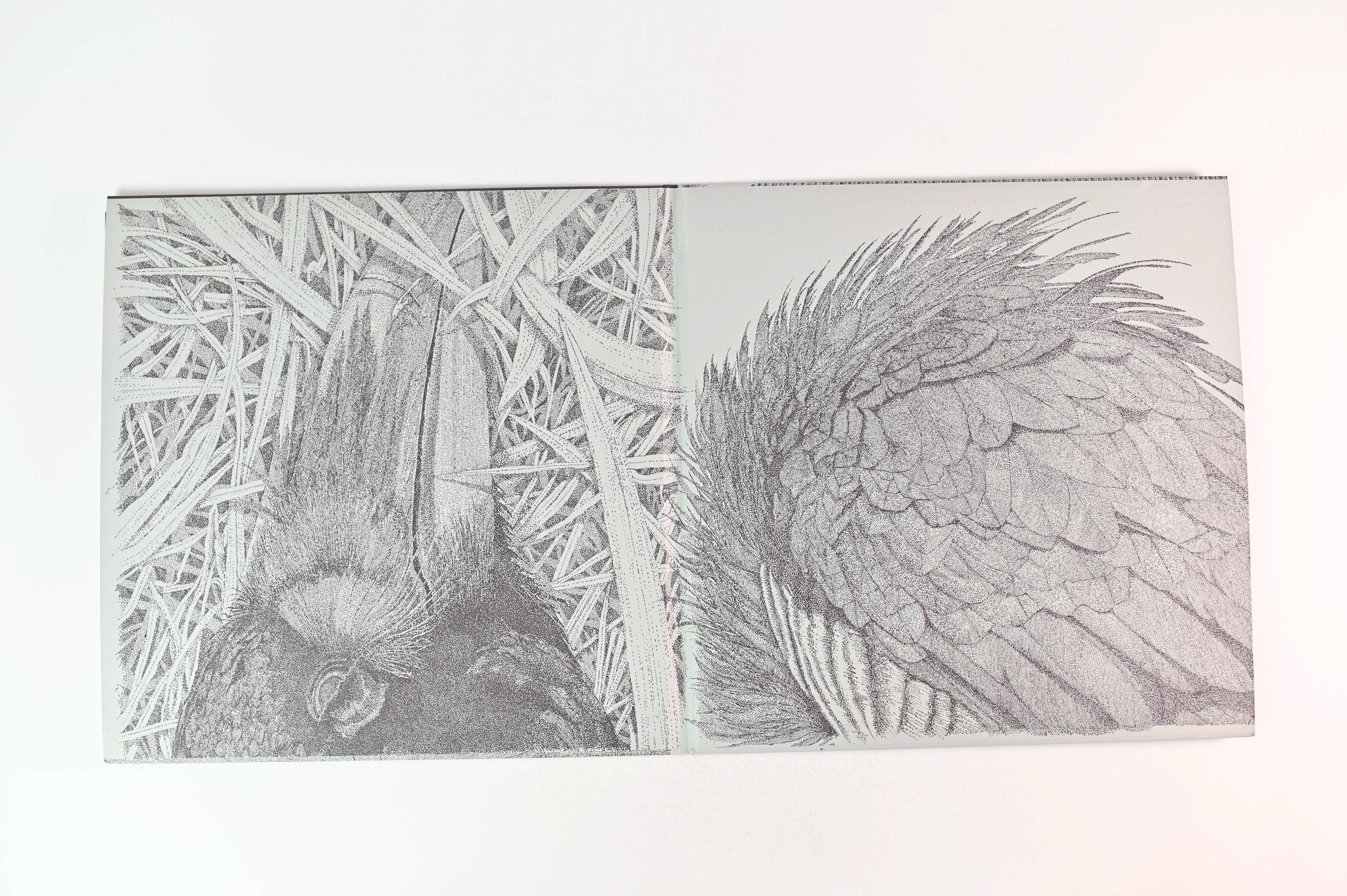 Earth - A Bureaucratic Desire For Extra-Capsular Extraction on Southern Lord