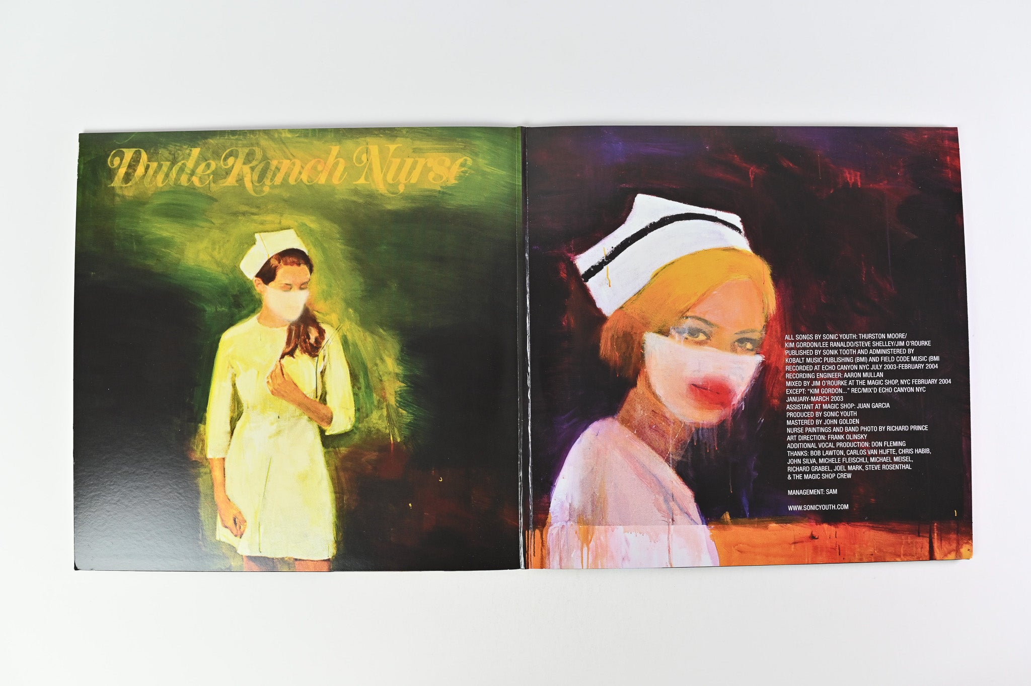 Sonic Youth - Sonic Nurse on DGC Remastered Reissue