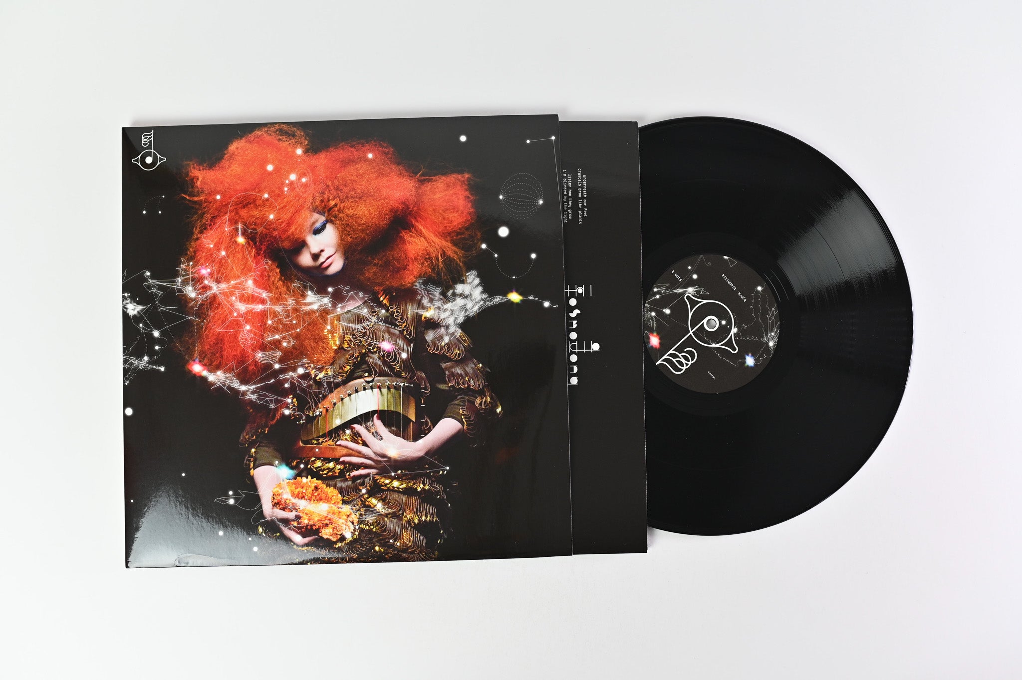 Björk - Biophilia on One Little Indian